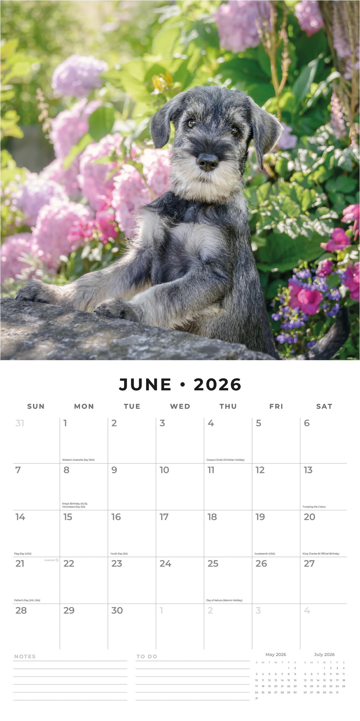 2026 Adorable Dogs - Square Wall Calendar