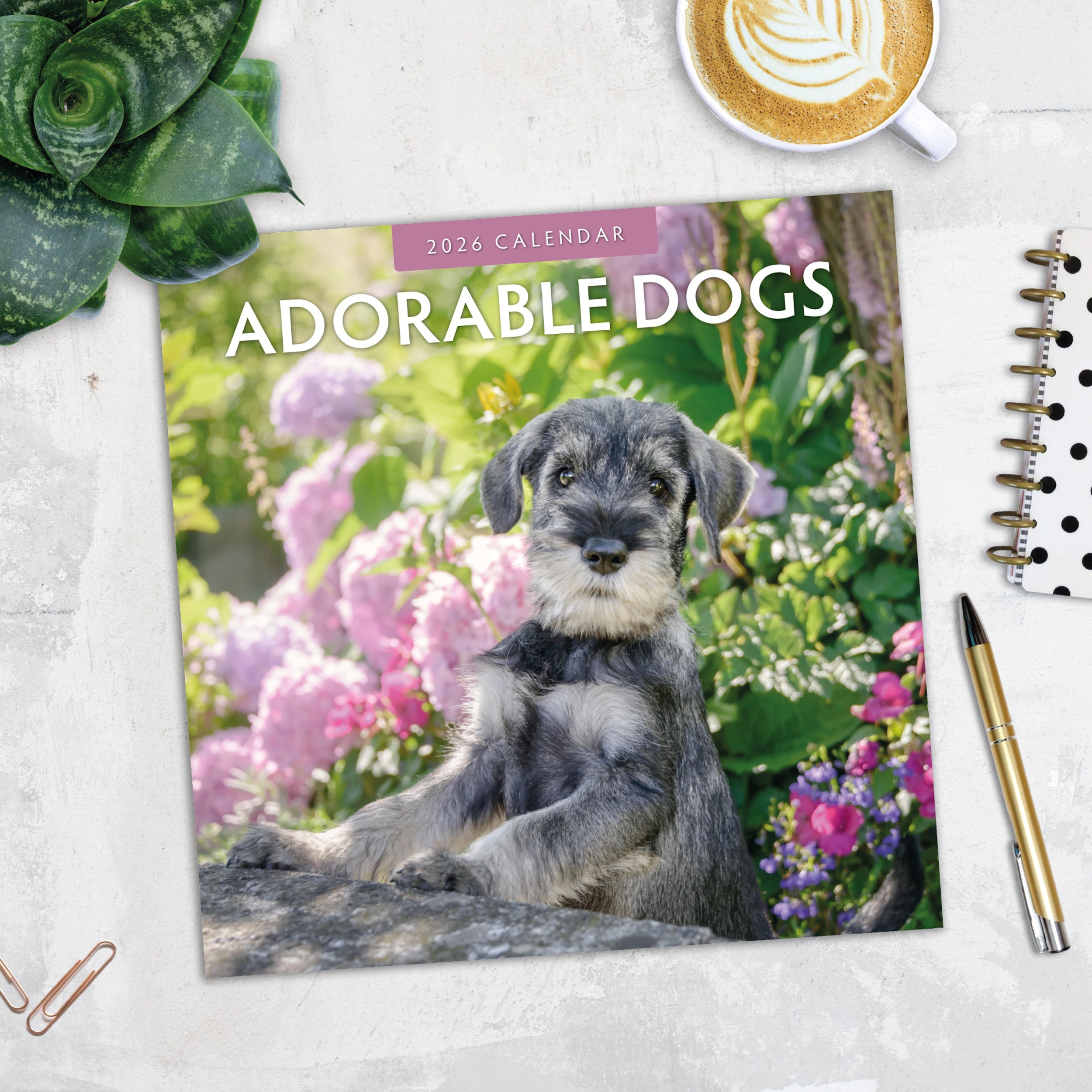 2026 Adorable Dogs - Square Wall Calendar