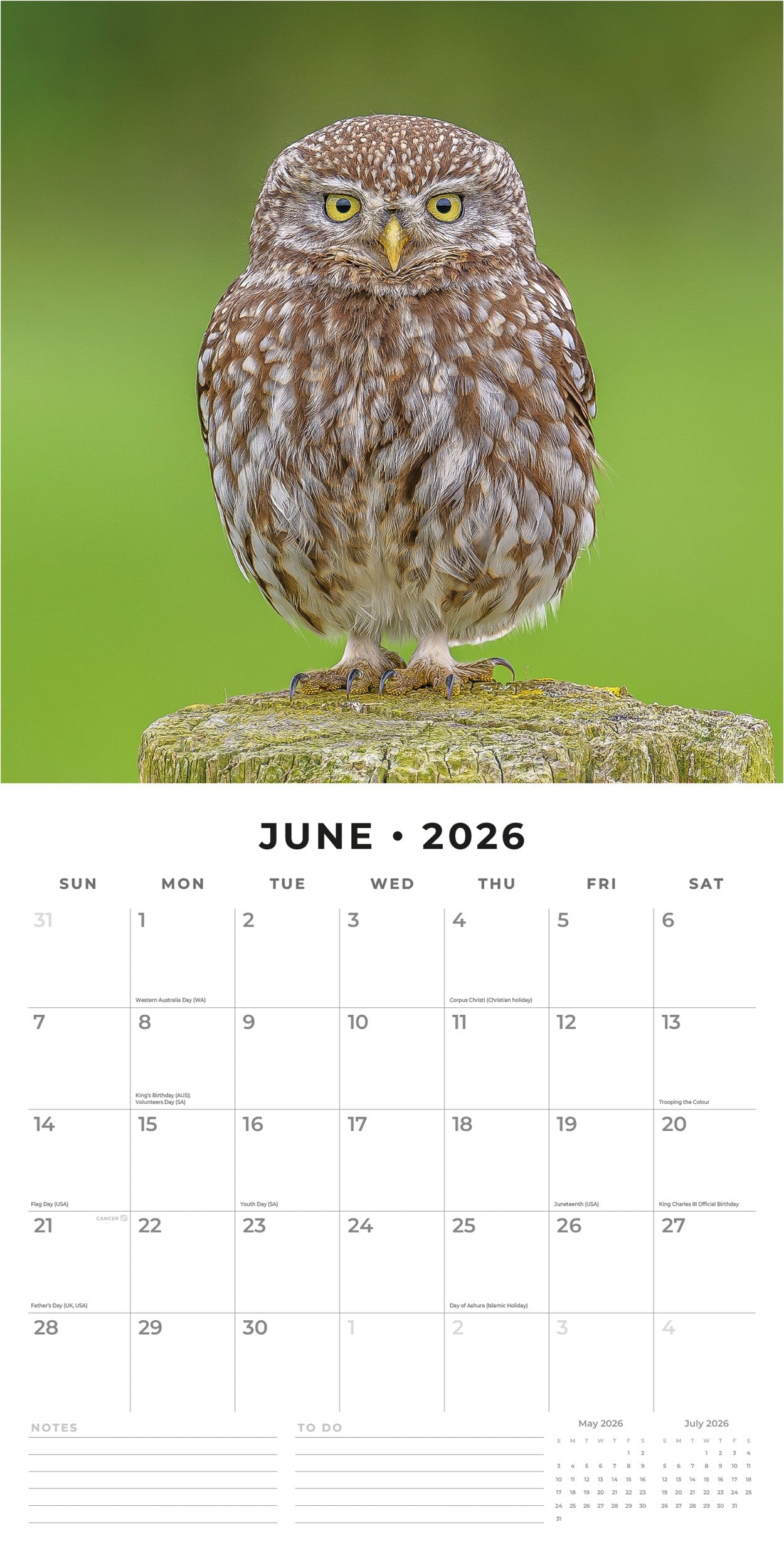 2026 Birds - Square Wall Calendar