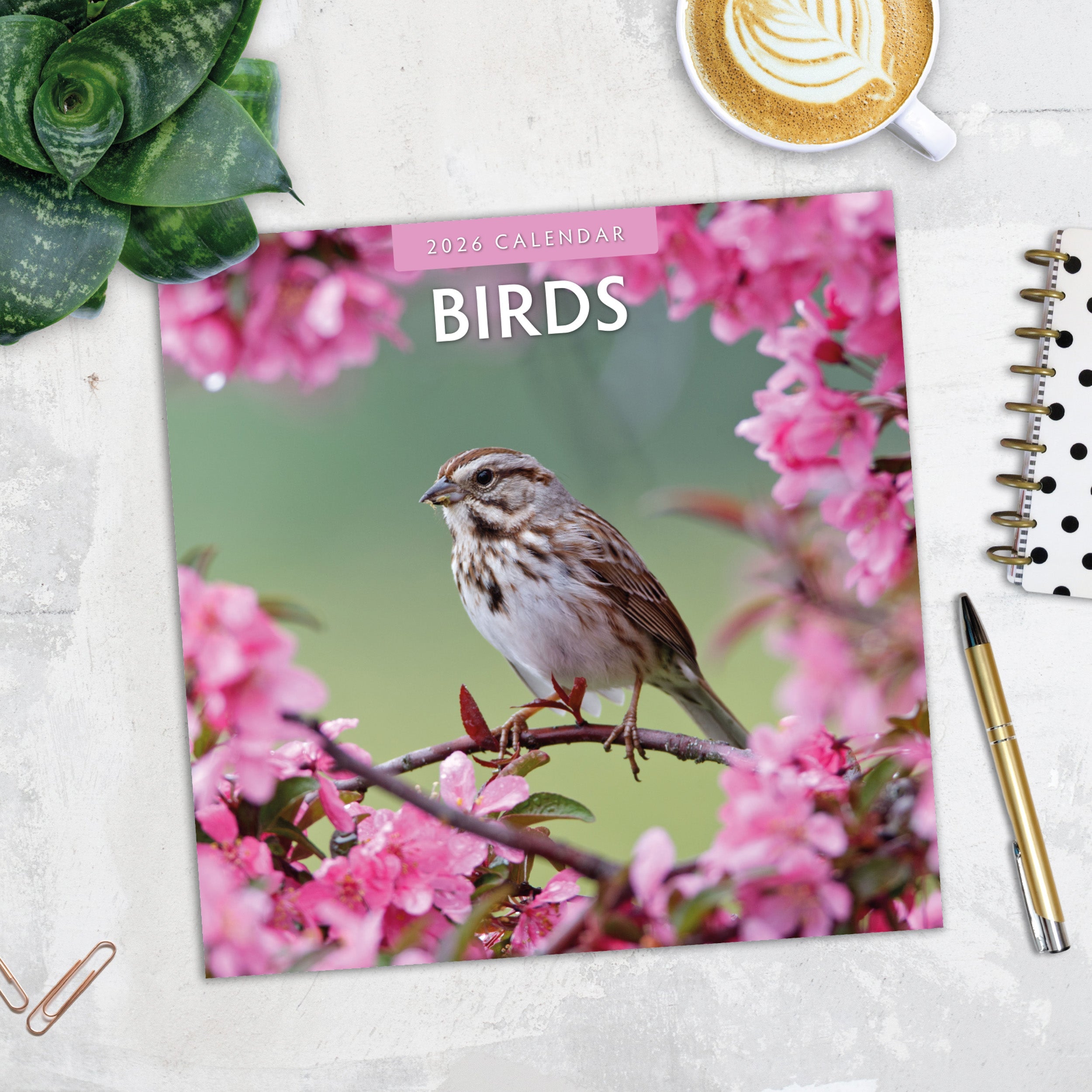 2026 Birds - Square Wall Calendar