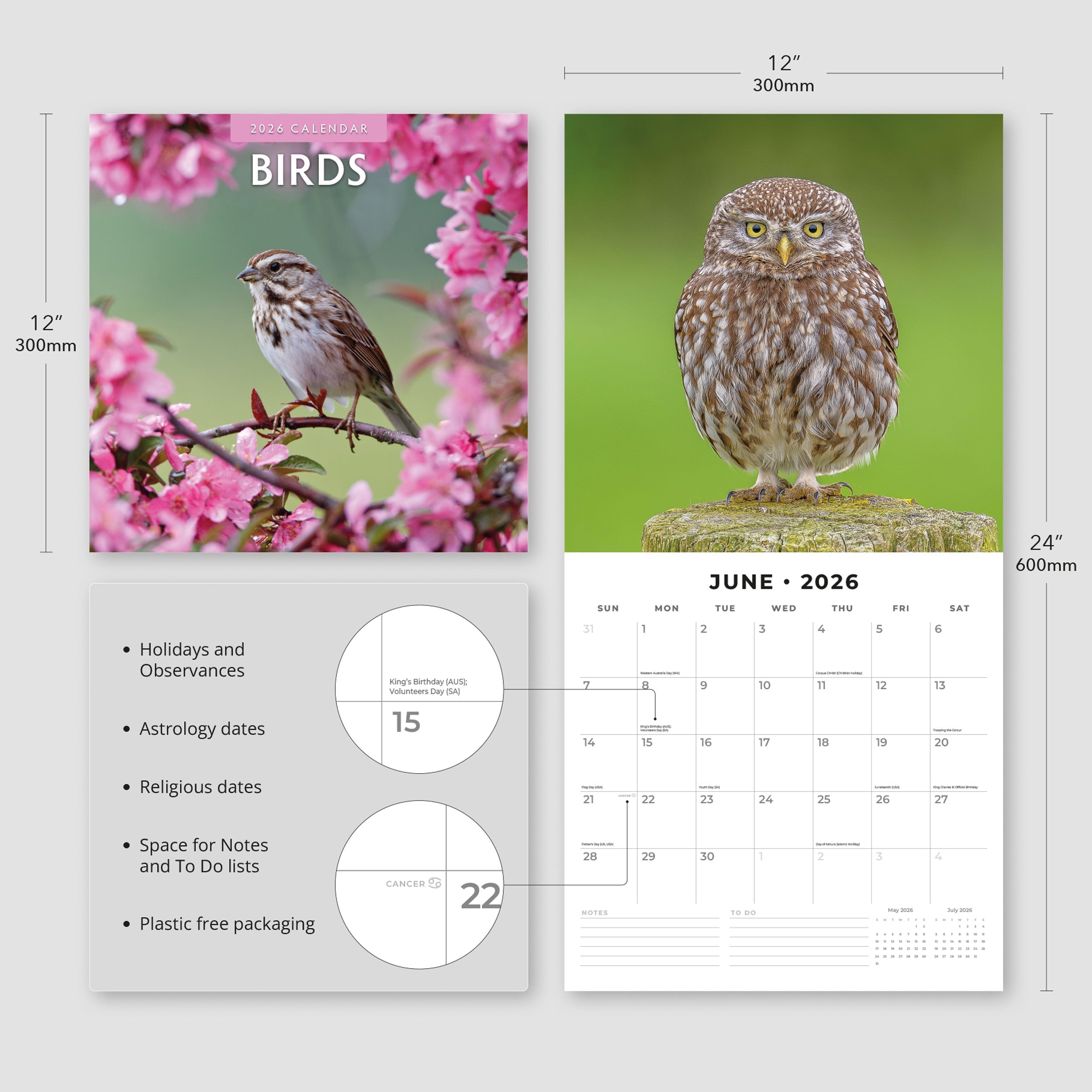 2026 Birds - Square Wall Calendar