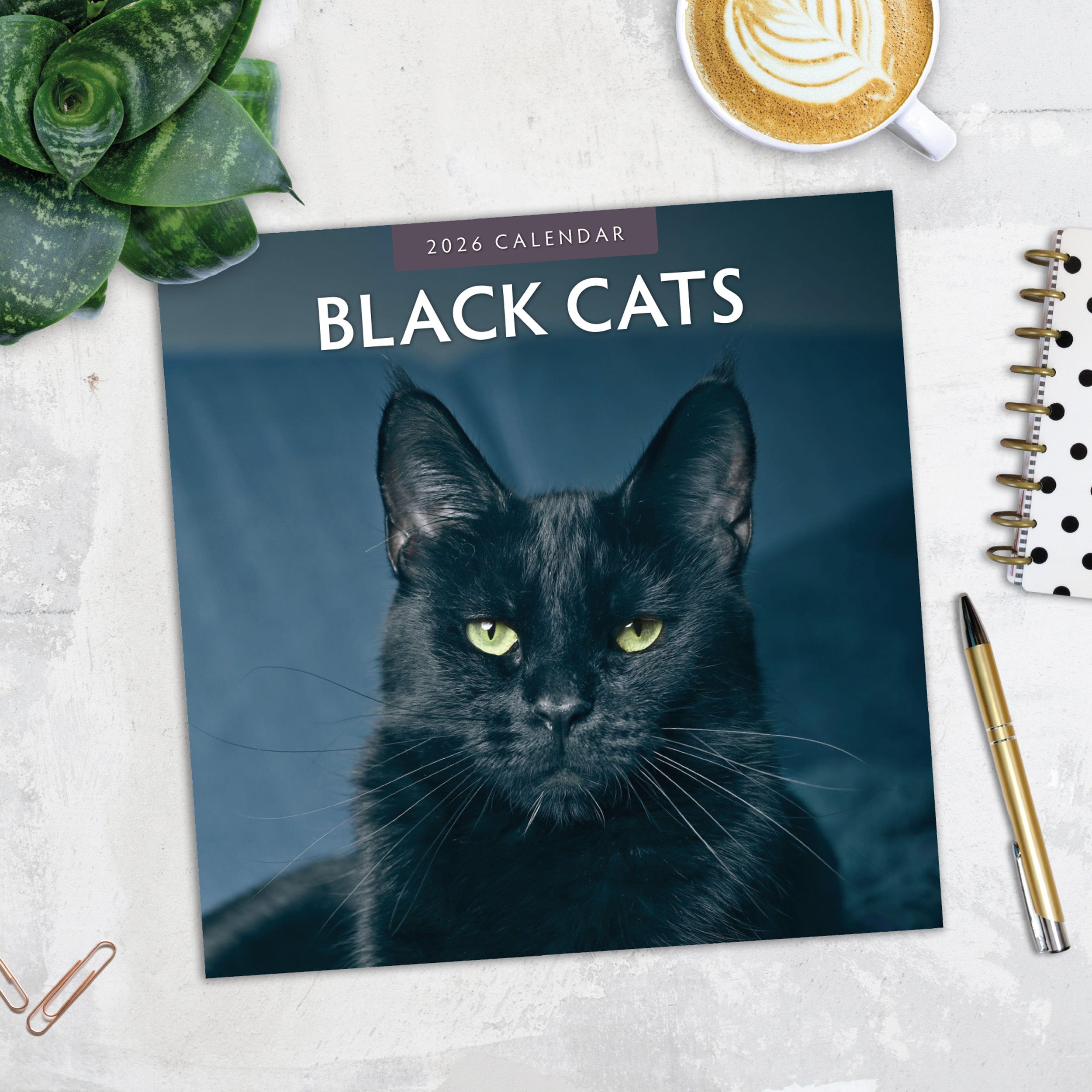 2026 Black Cats - Square Wall Calendar