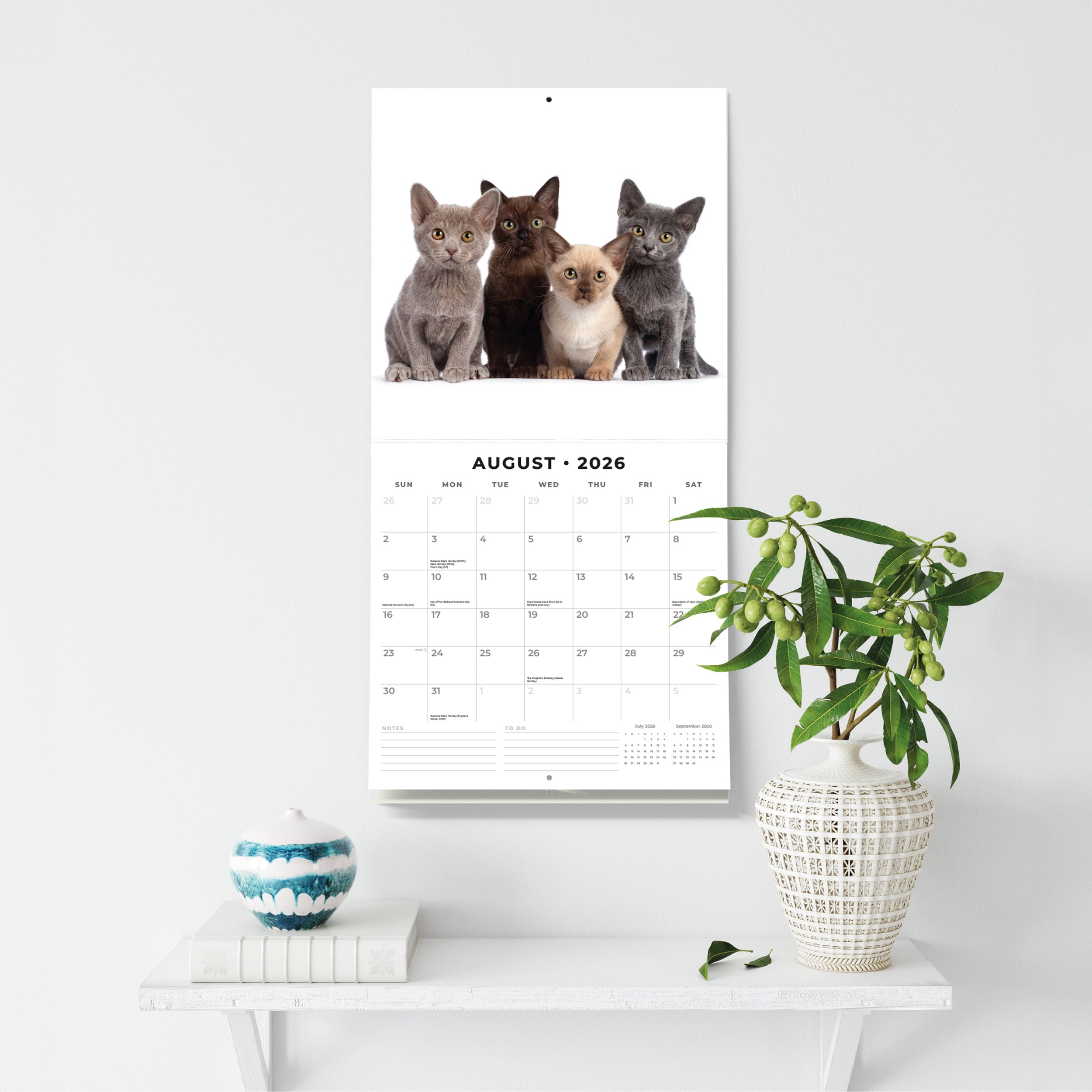 2026 Burmese Cats - Square Wall Calendar