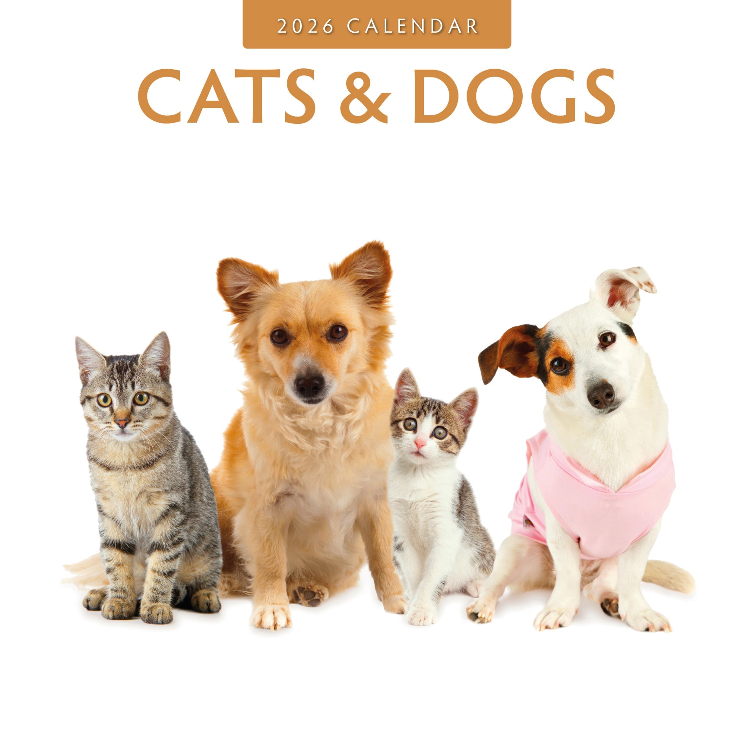 2026 Cats & Dogs - Square Wall Calendar