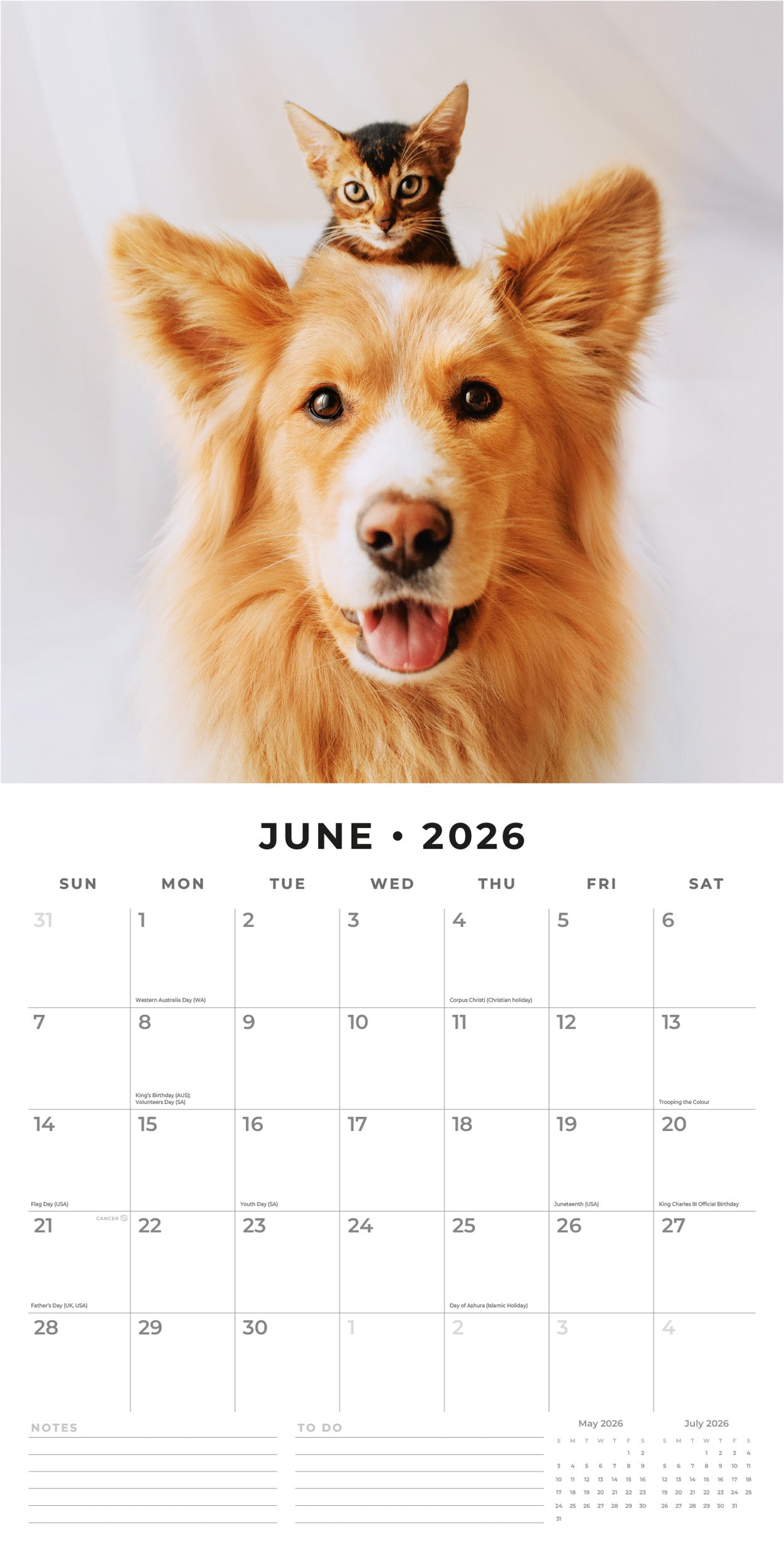 2026 Cats & Dogs - Square Wall Calendar