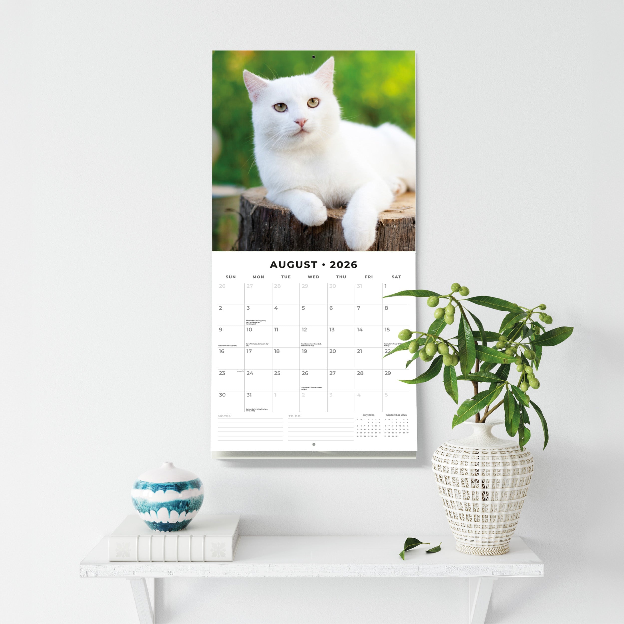 2026 Cats & Kittens - Square Wall Calendar