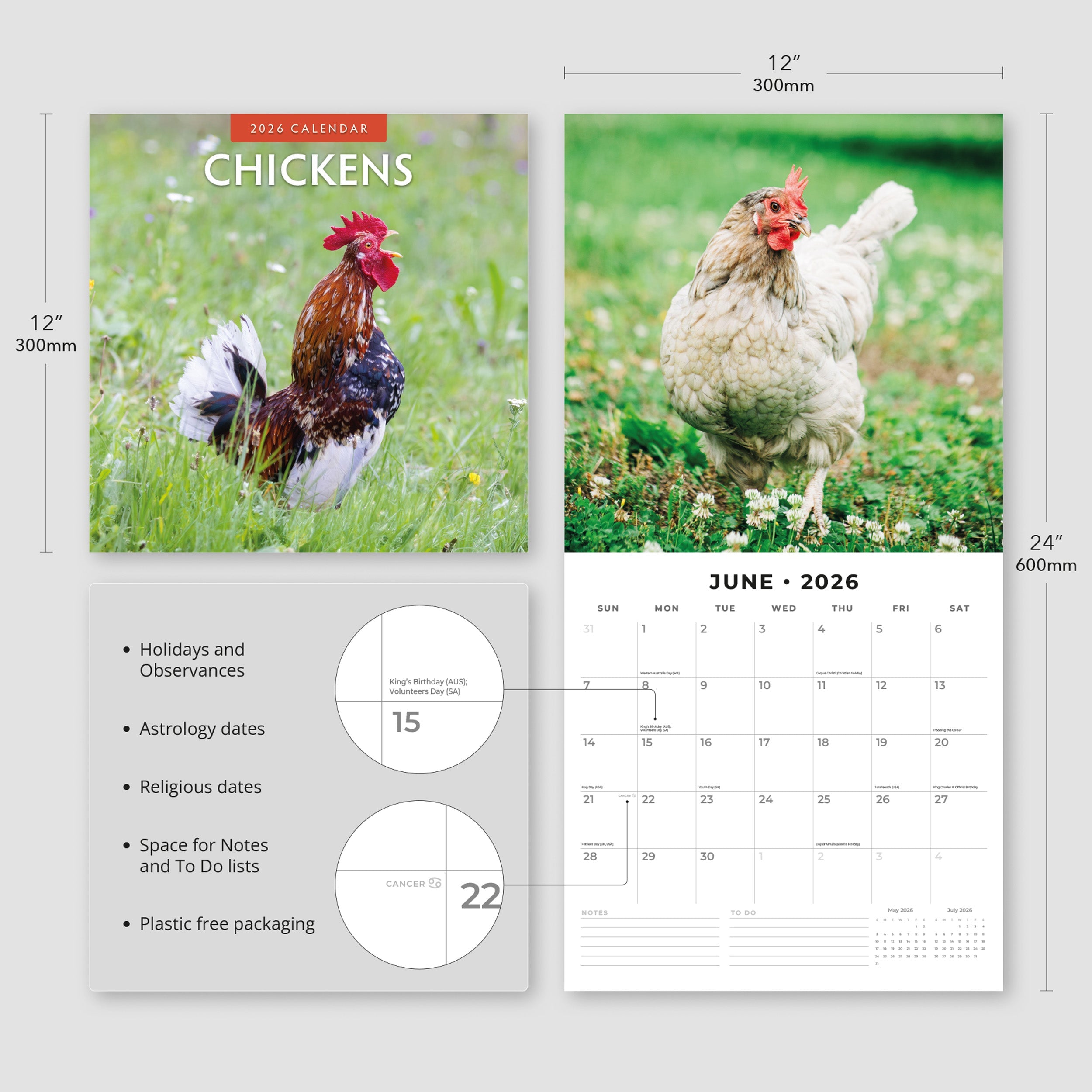 2026 Chickens - Square Wall Calendar