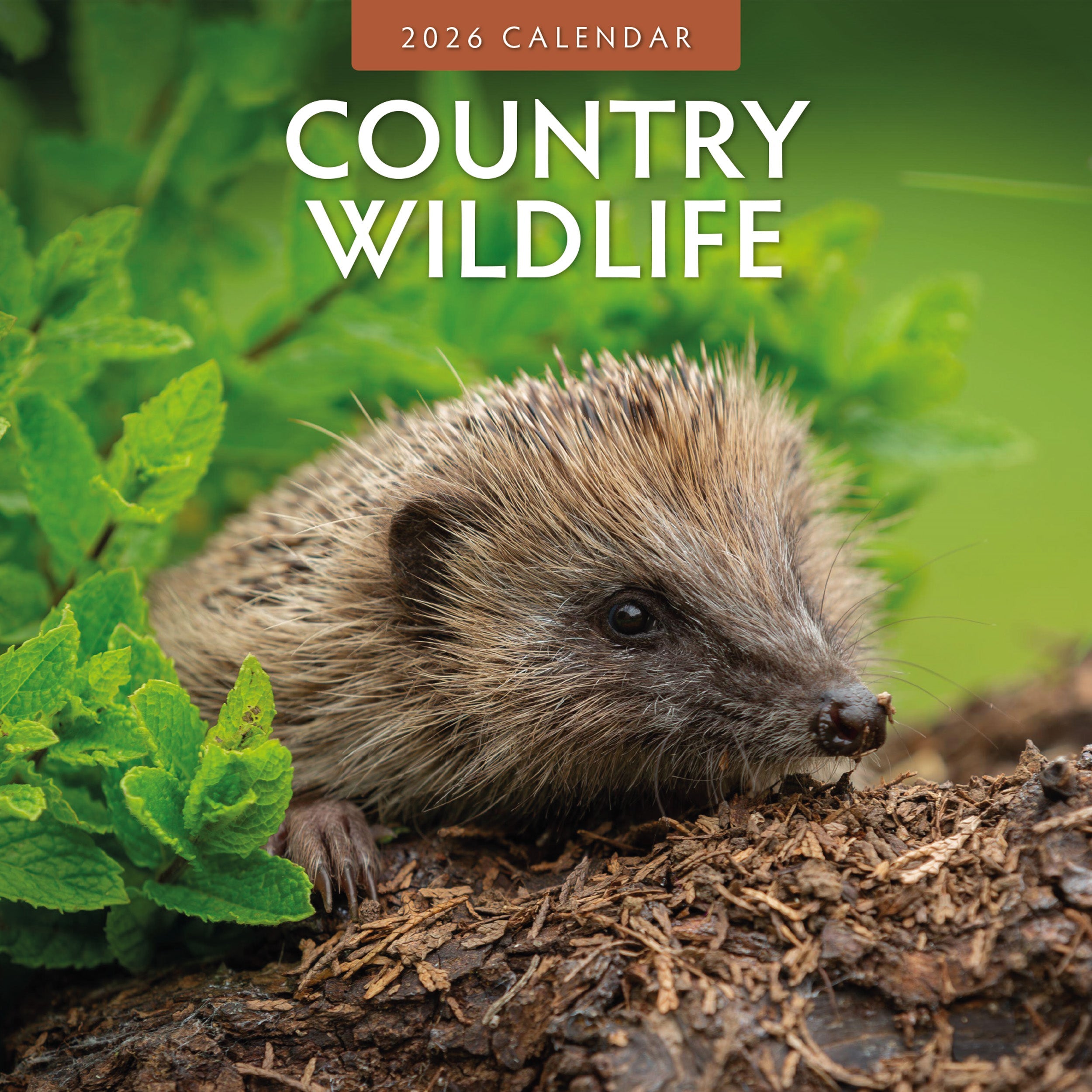 2026 Country Wildlife - Square Wall Calendar