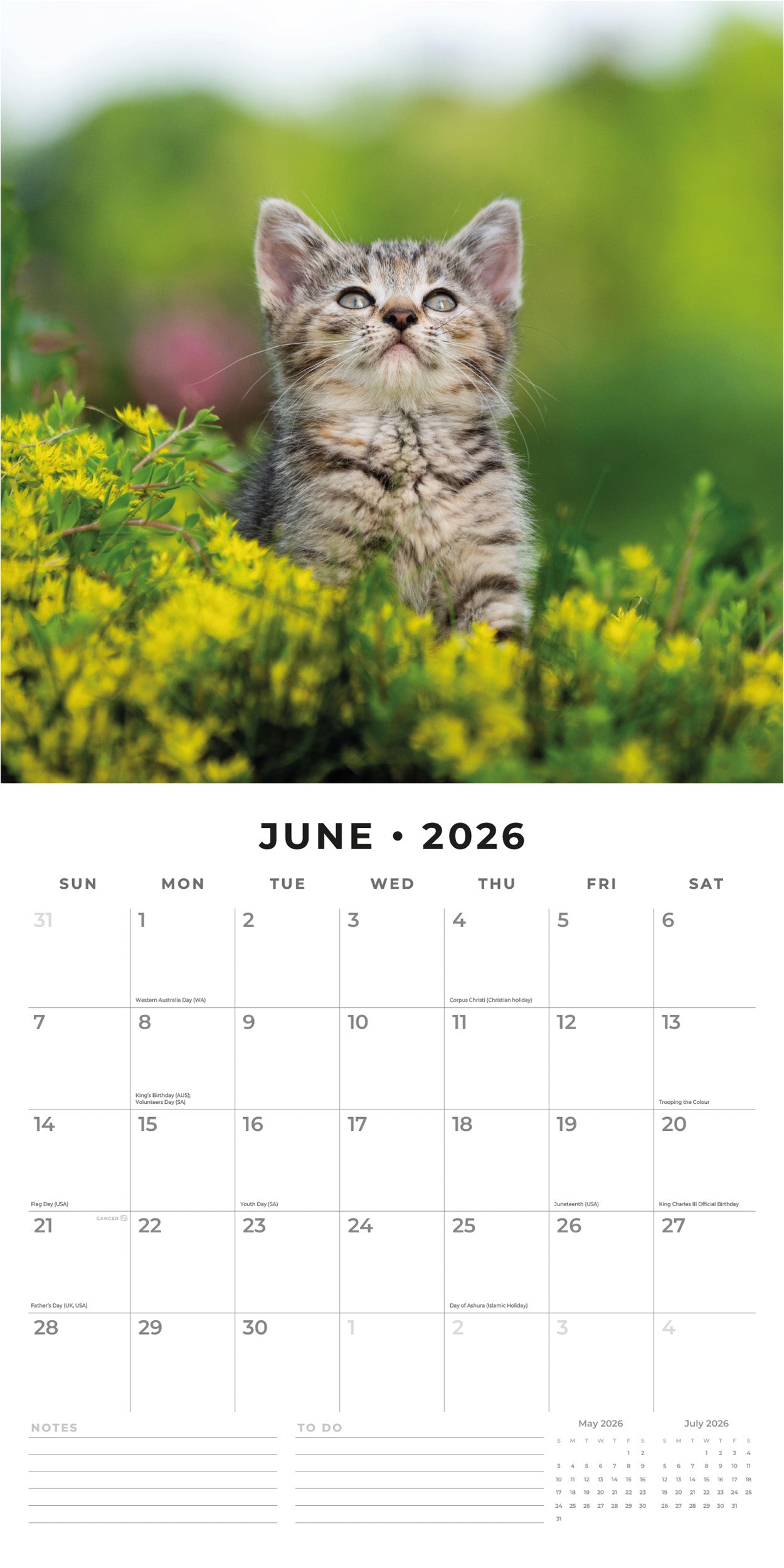 2026 Cute Kittens - Square Wall Calendar