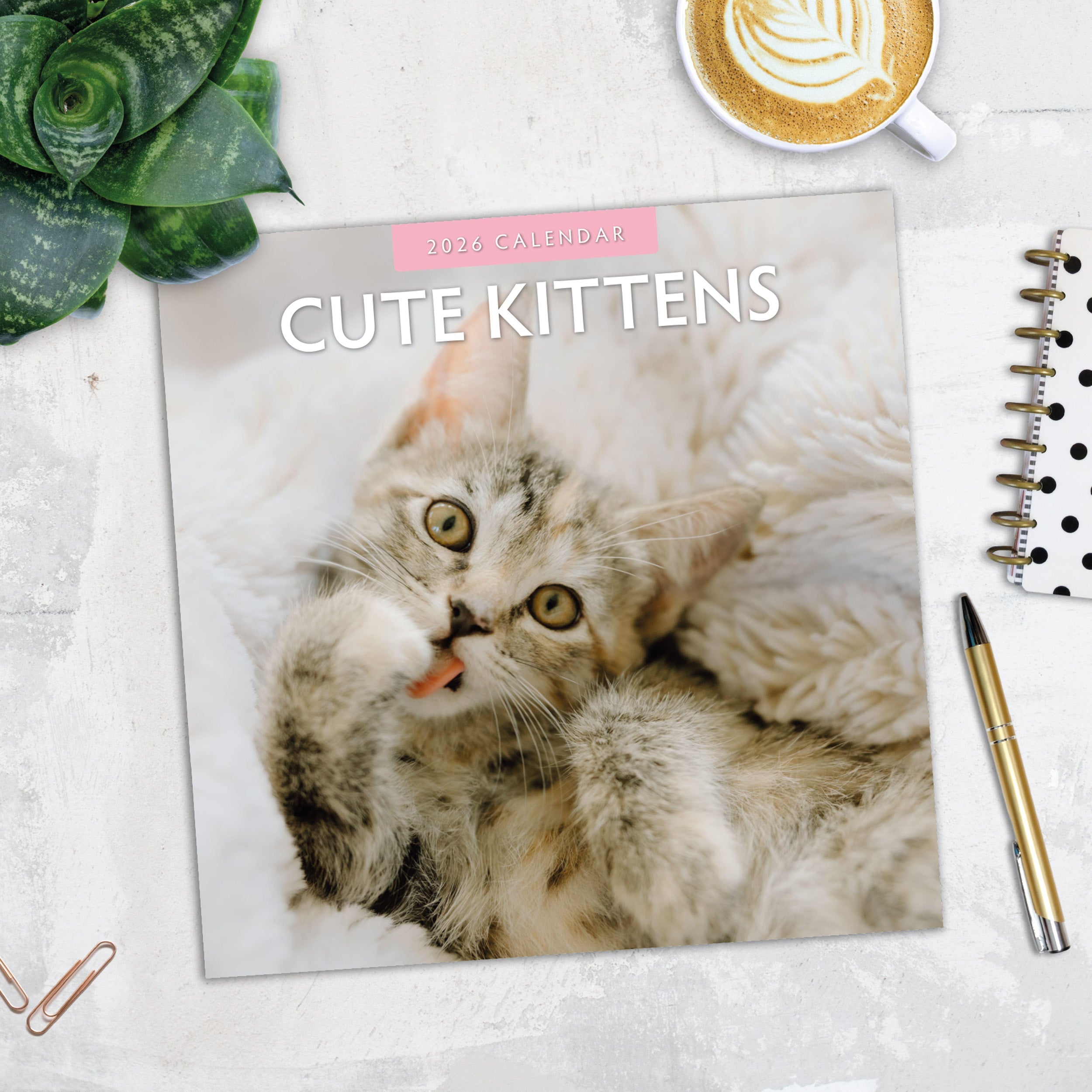 2026 Cute Kittens - Square Wall Calendar