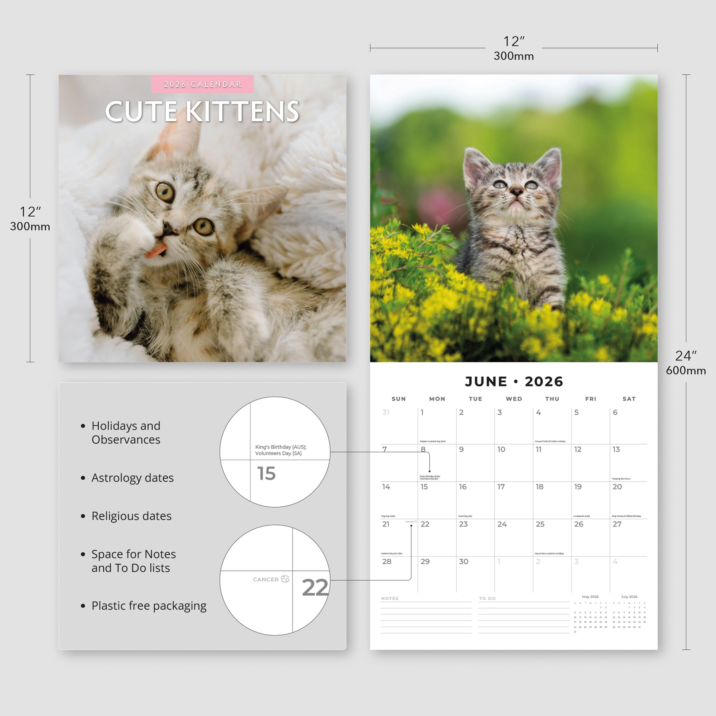 2026 Cute Kittens - Square Wall Calendar