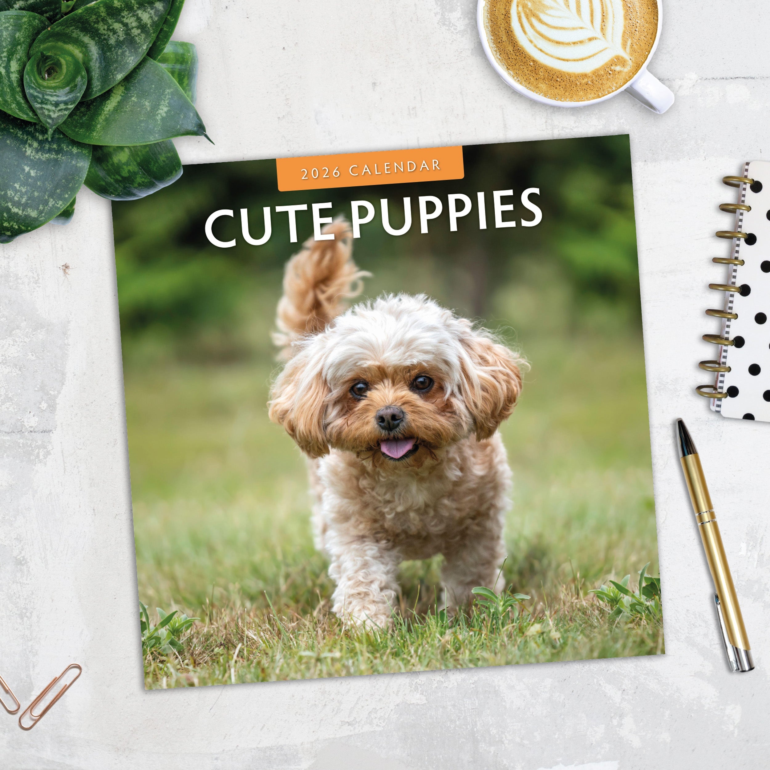 2026 Cute Puppies - Square Wall Calendar