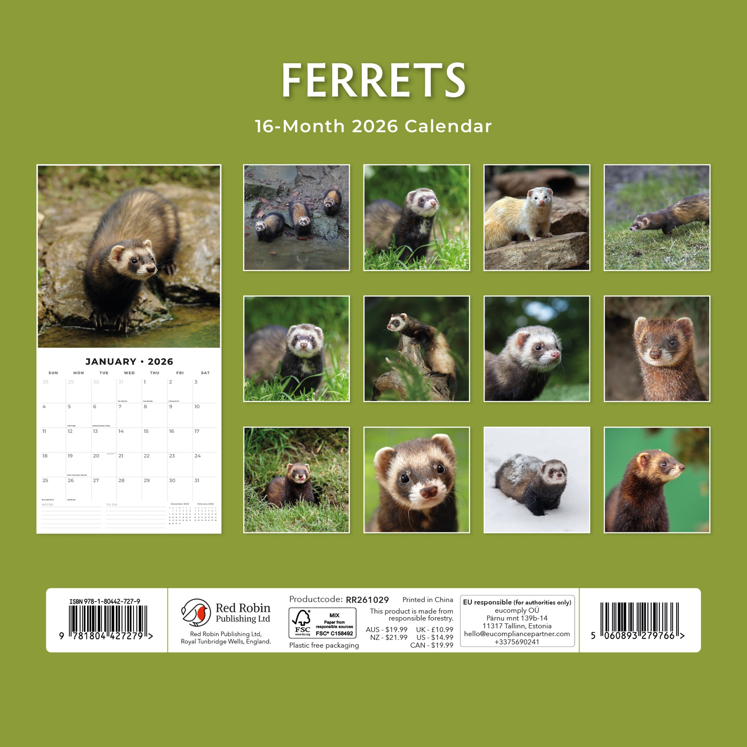 2026 Ferrets - Square Wall Calendar