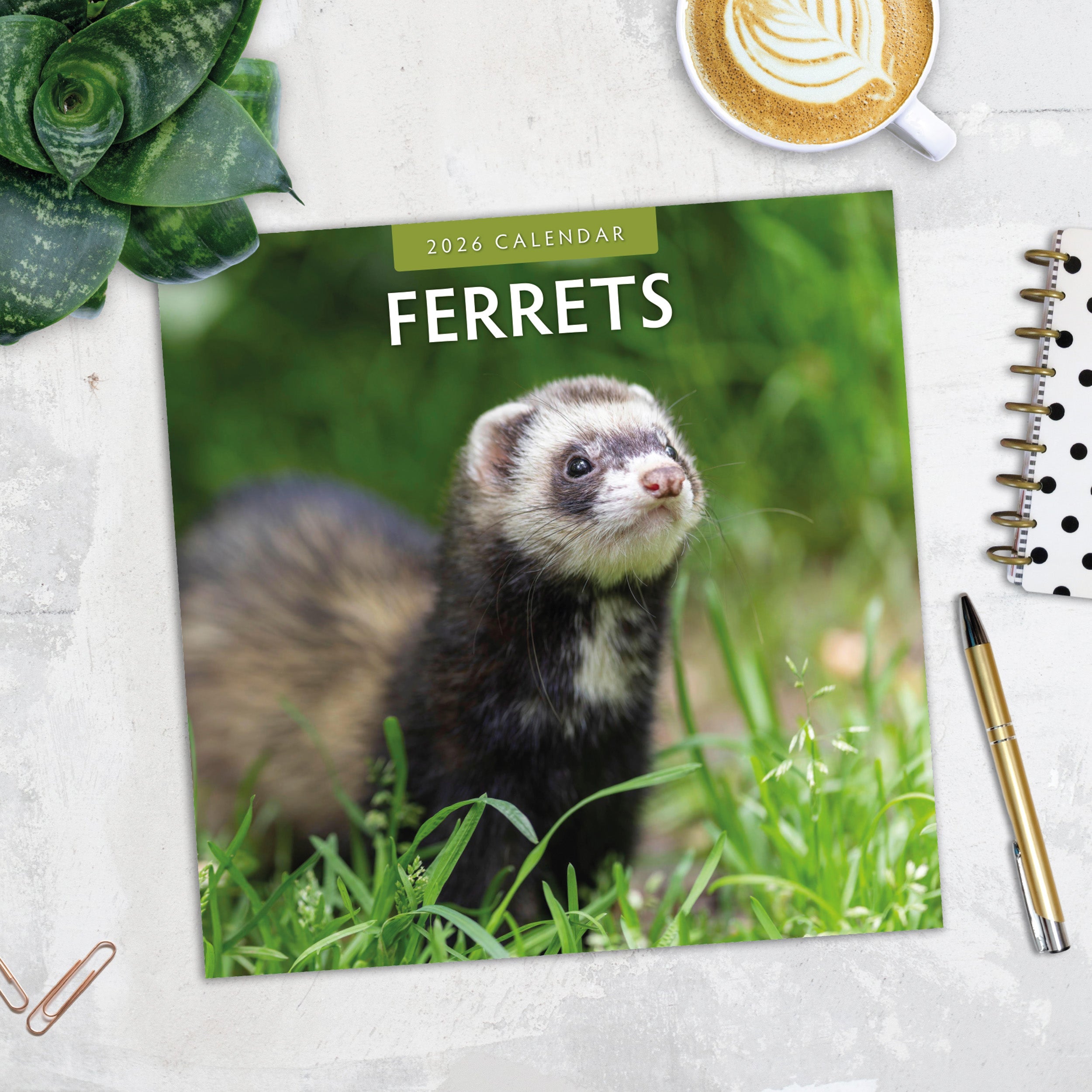 2026 Ferrets - Square Wall Calendar