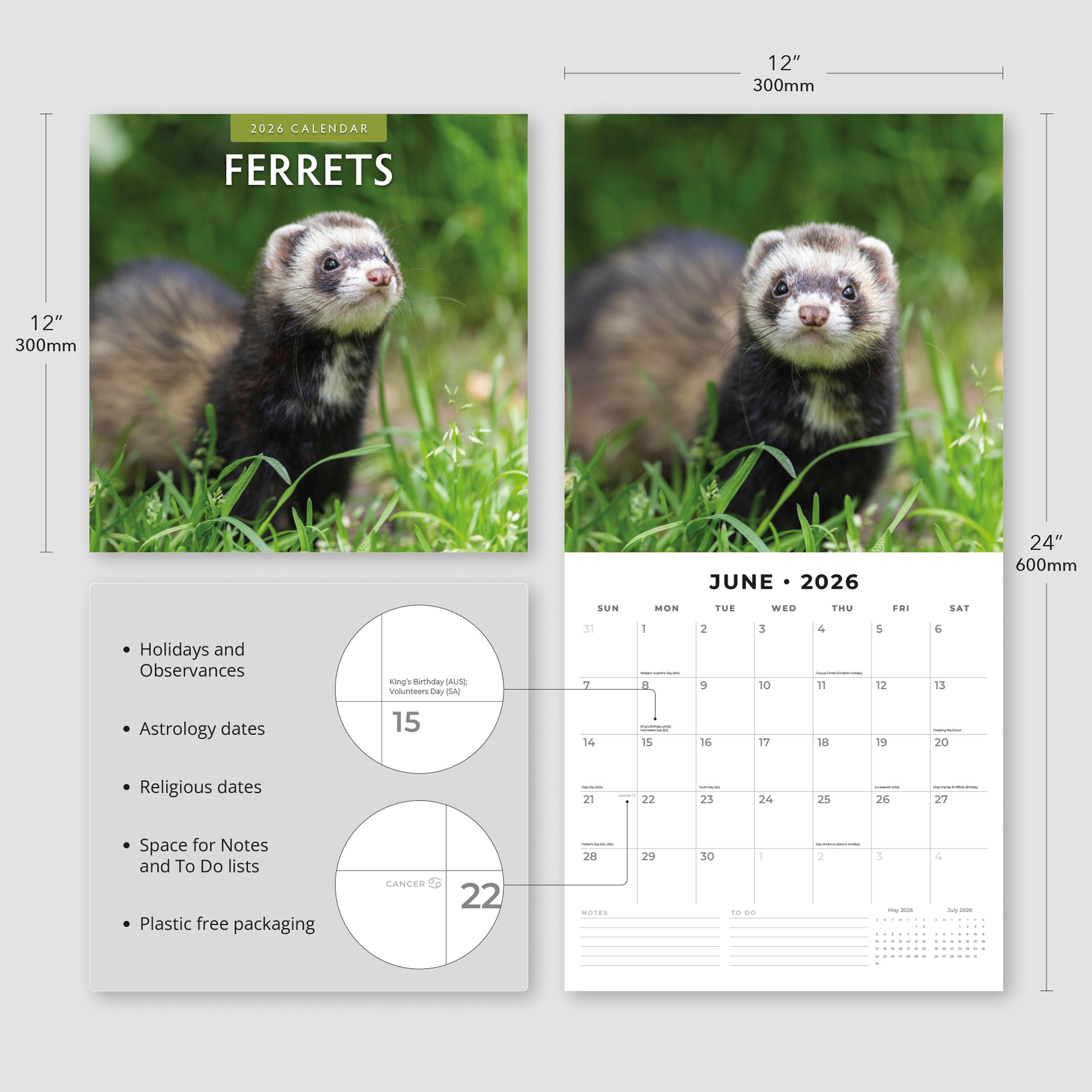 2026 Ferrets - Square Wall Calendar