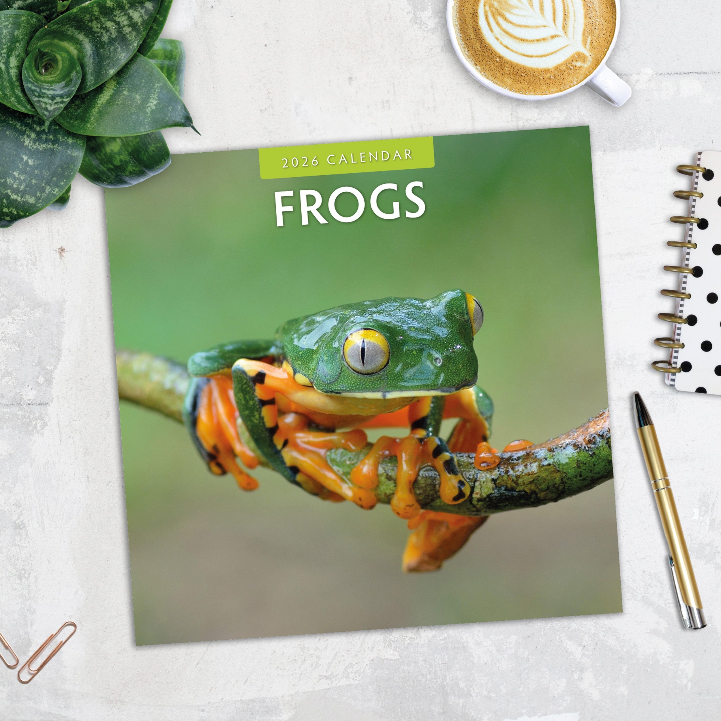 2026 Frogs - Square Wall Calendar