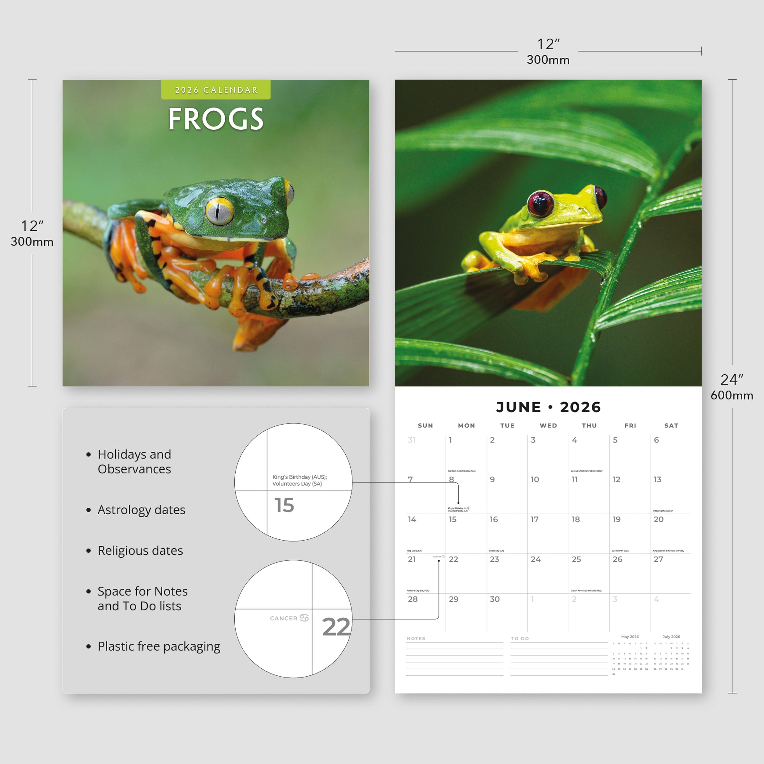 2026 Frogs - Square Wall Calendar