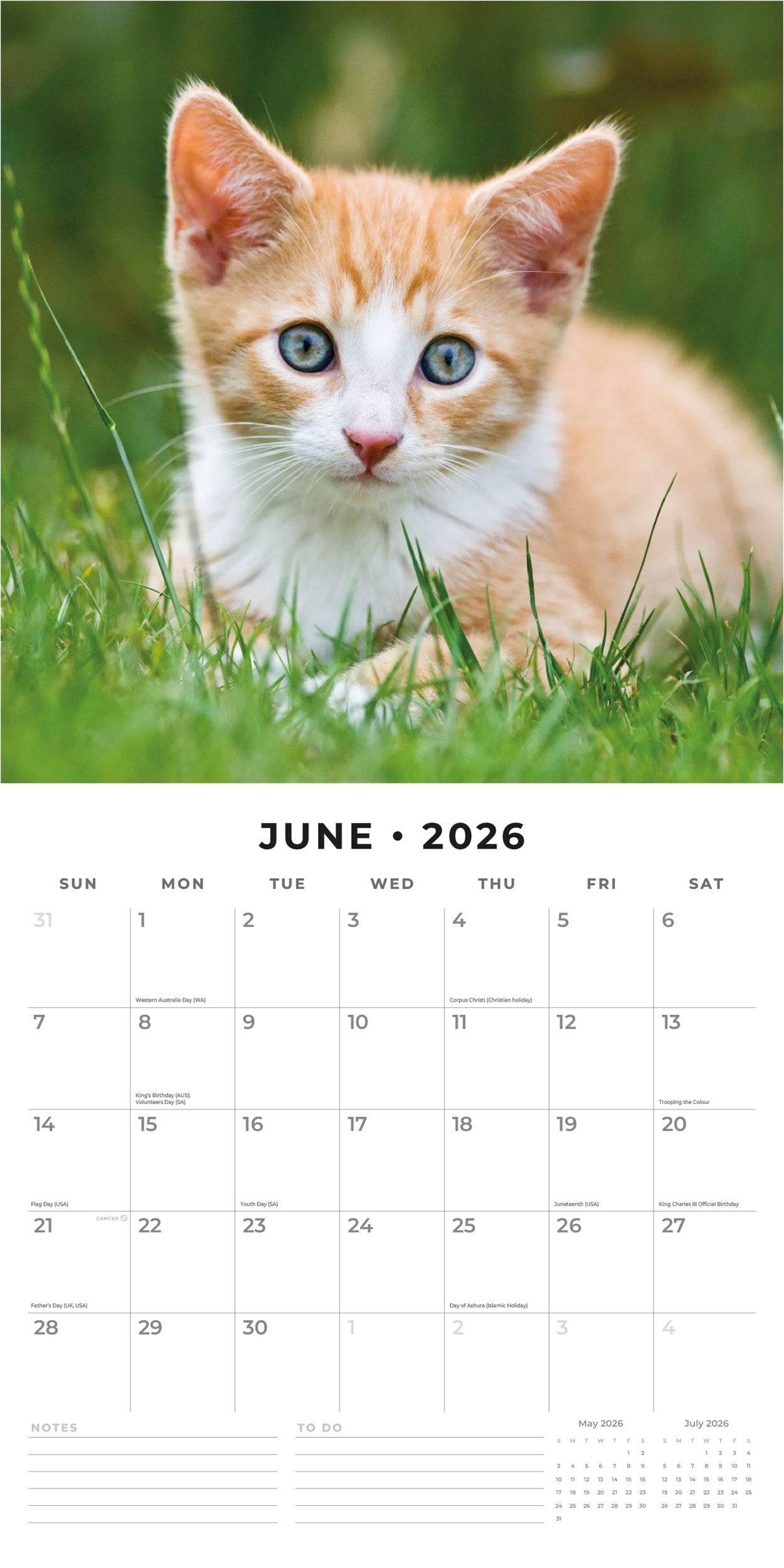 2026 Ginger Cats - Square Wall Calendar