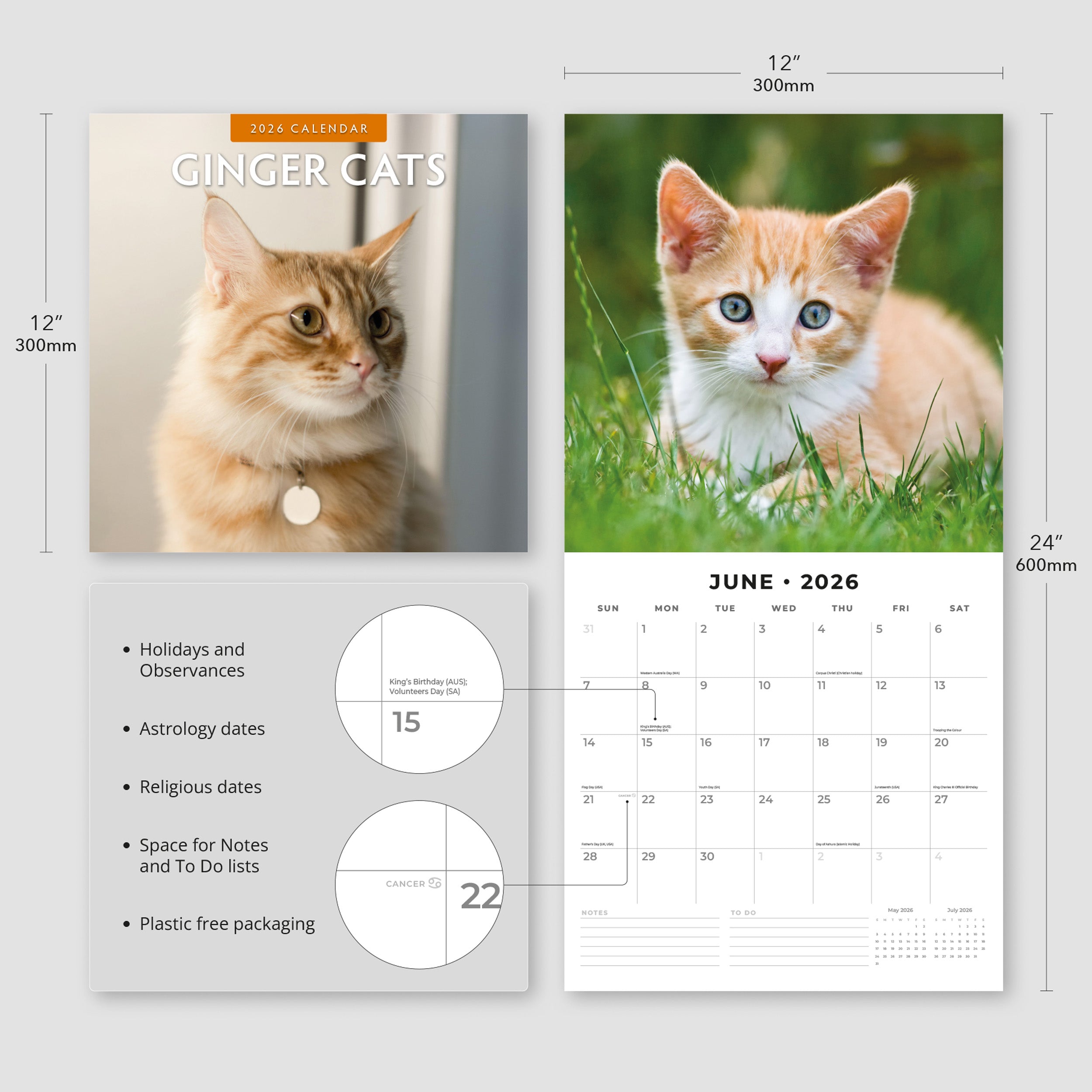 2026 Ginger Cats - Square Wall Calendar