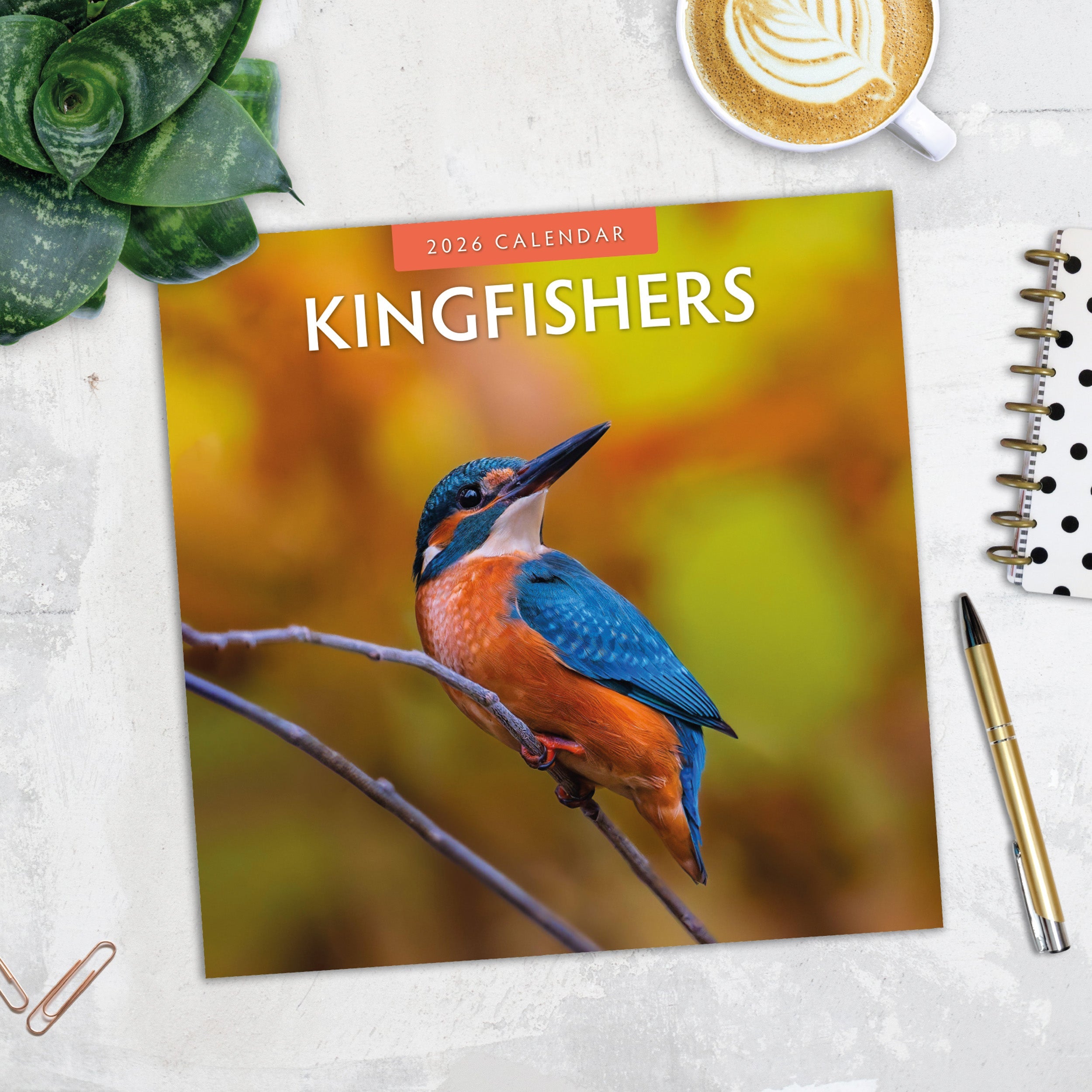 2026 Kingfishers - Square Wall Calendar