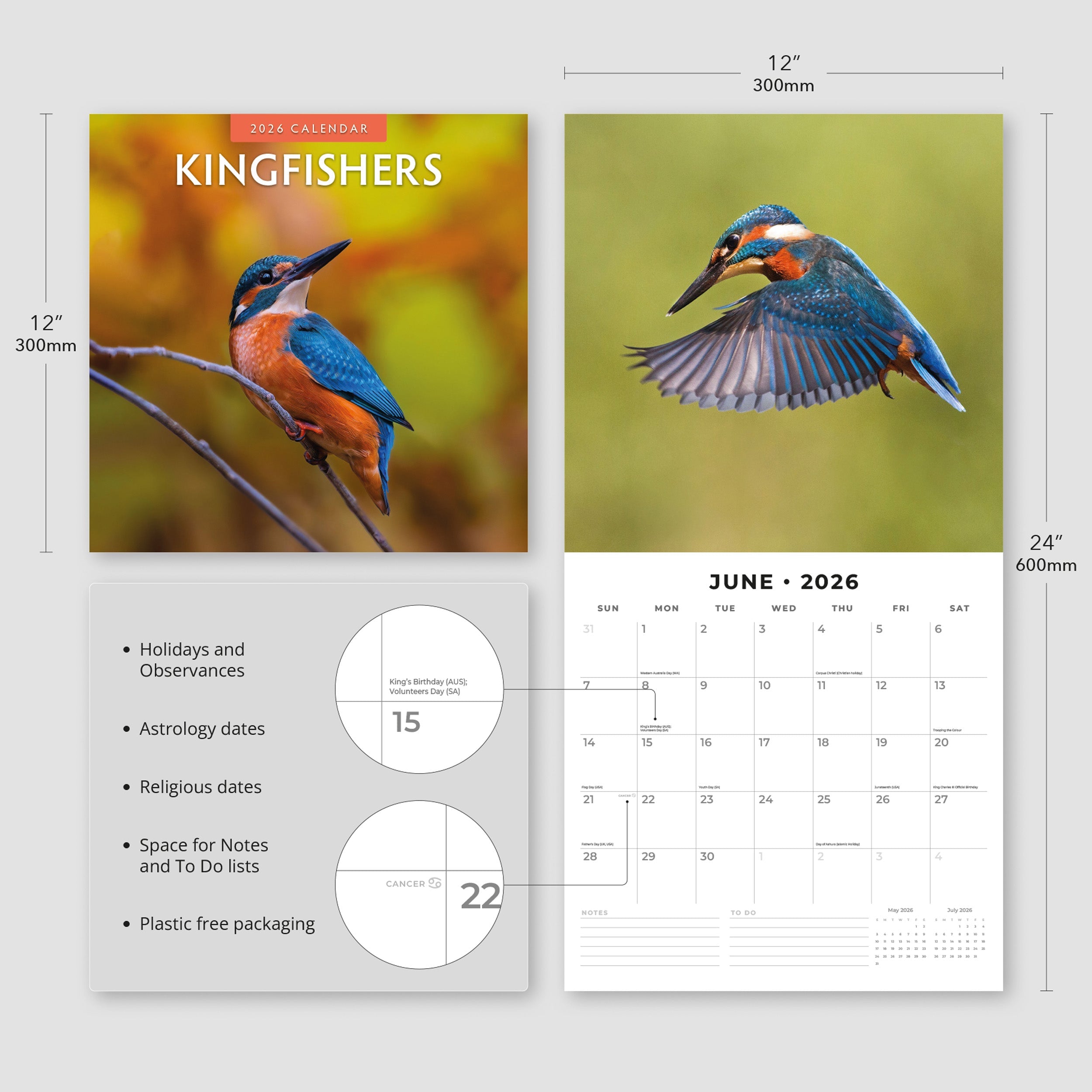 2026 Kingfishers - Square Wall Calendar
