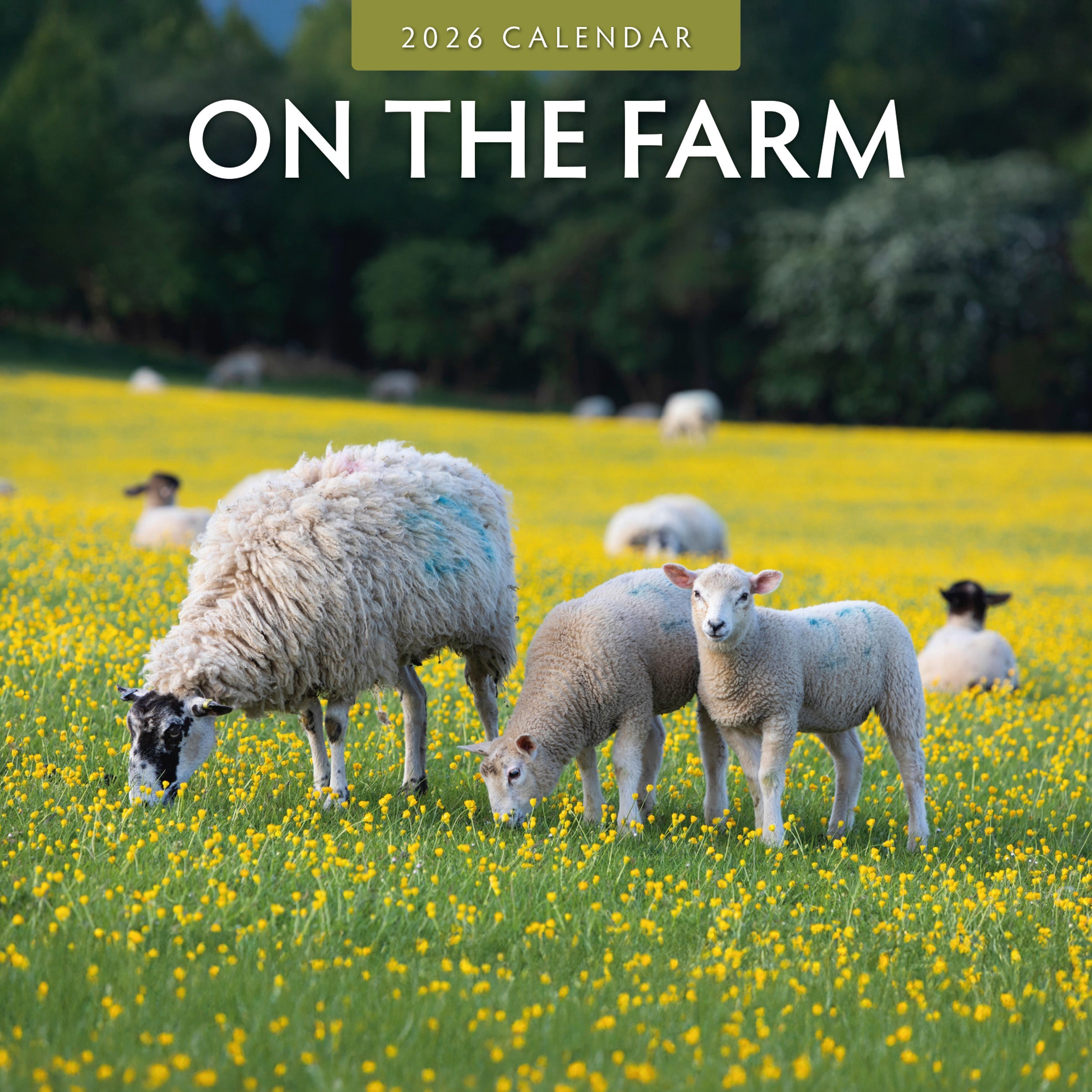 2026 On The Farm - Square Wall Calendar