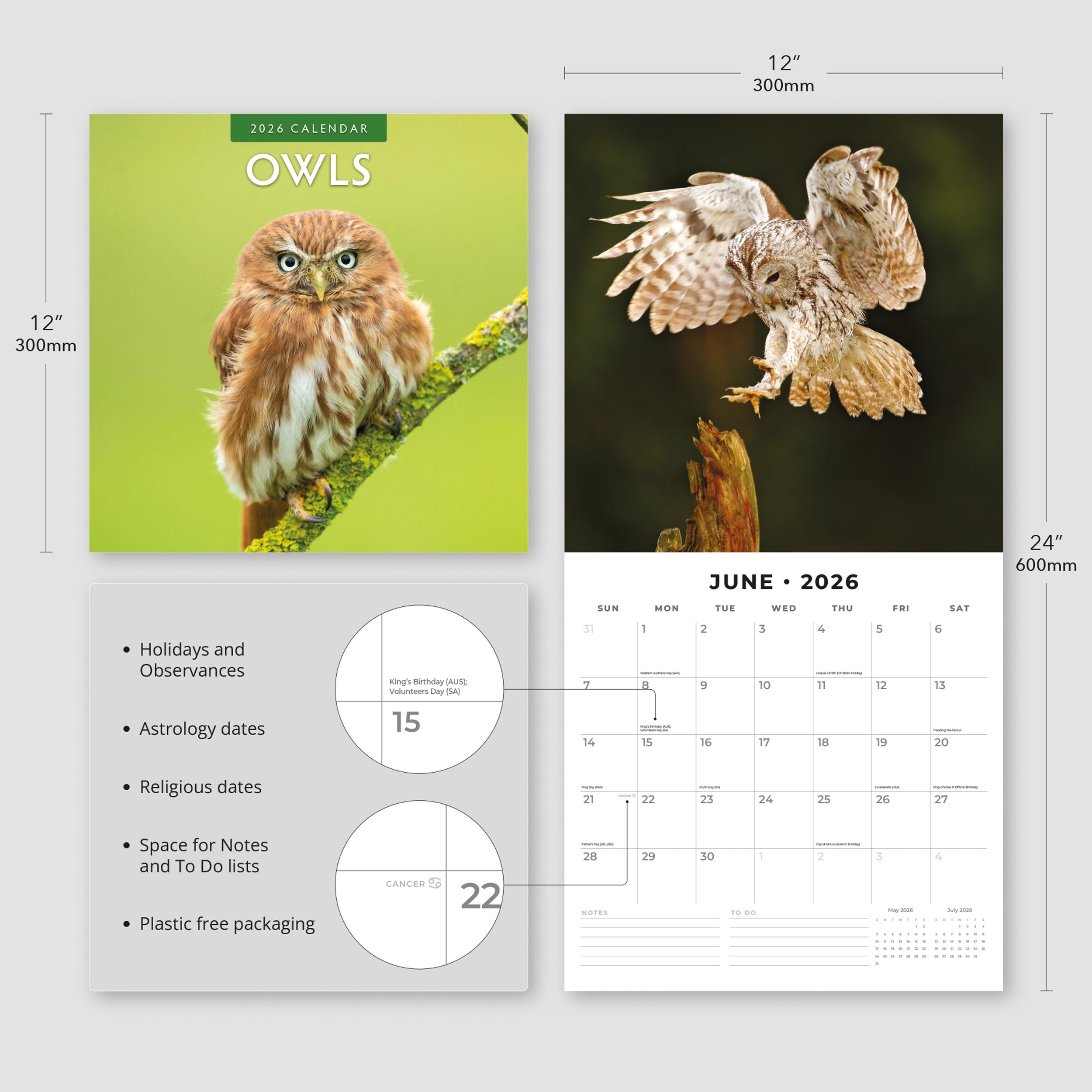 2026 Owls - Square Wall Calendar
