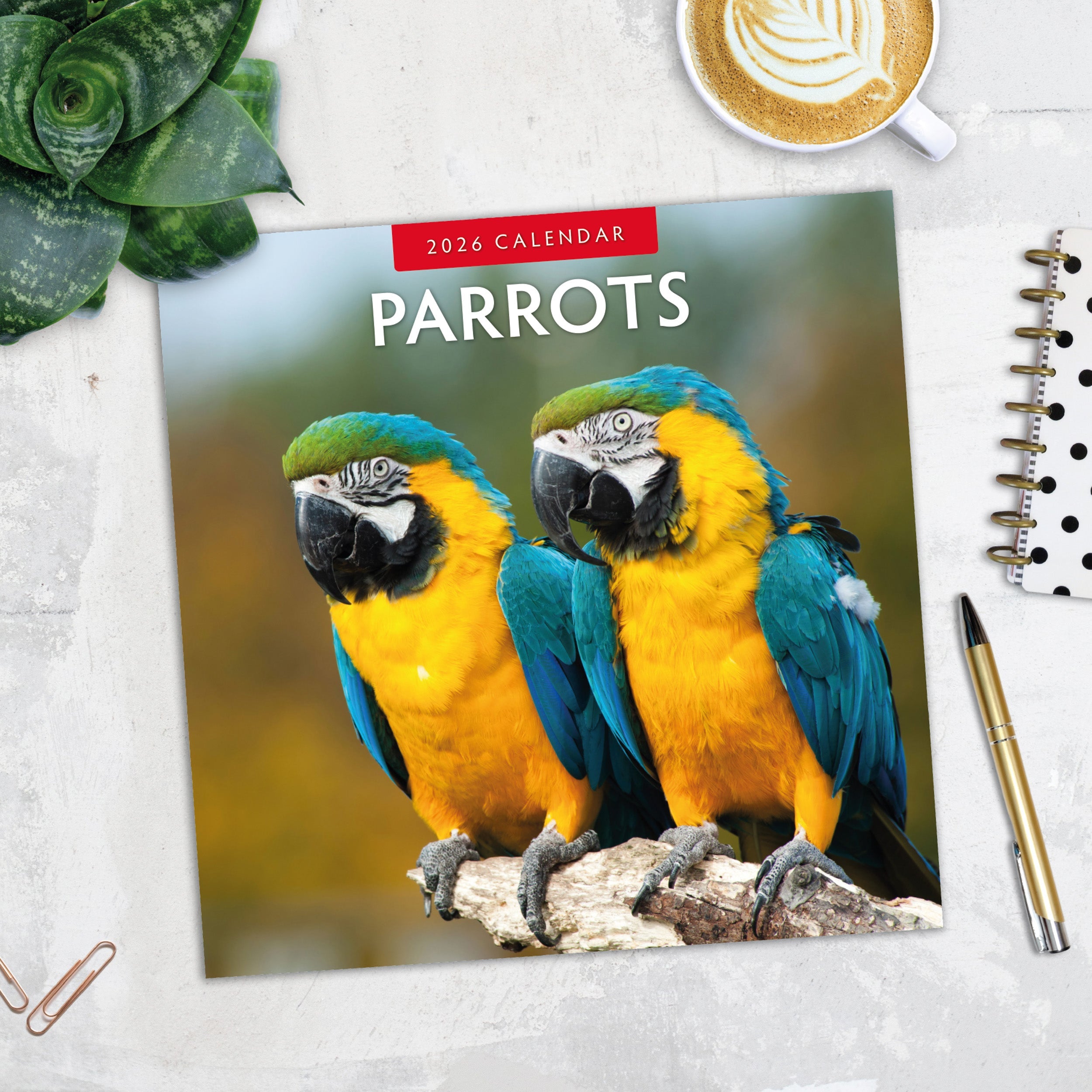 2026 Parrots - Square Wall Calendar