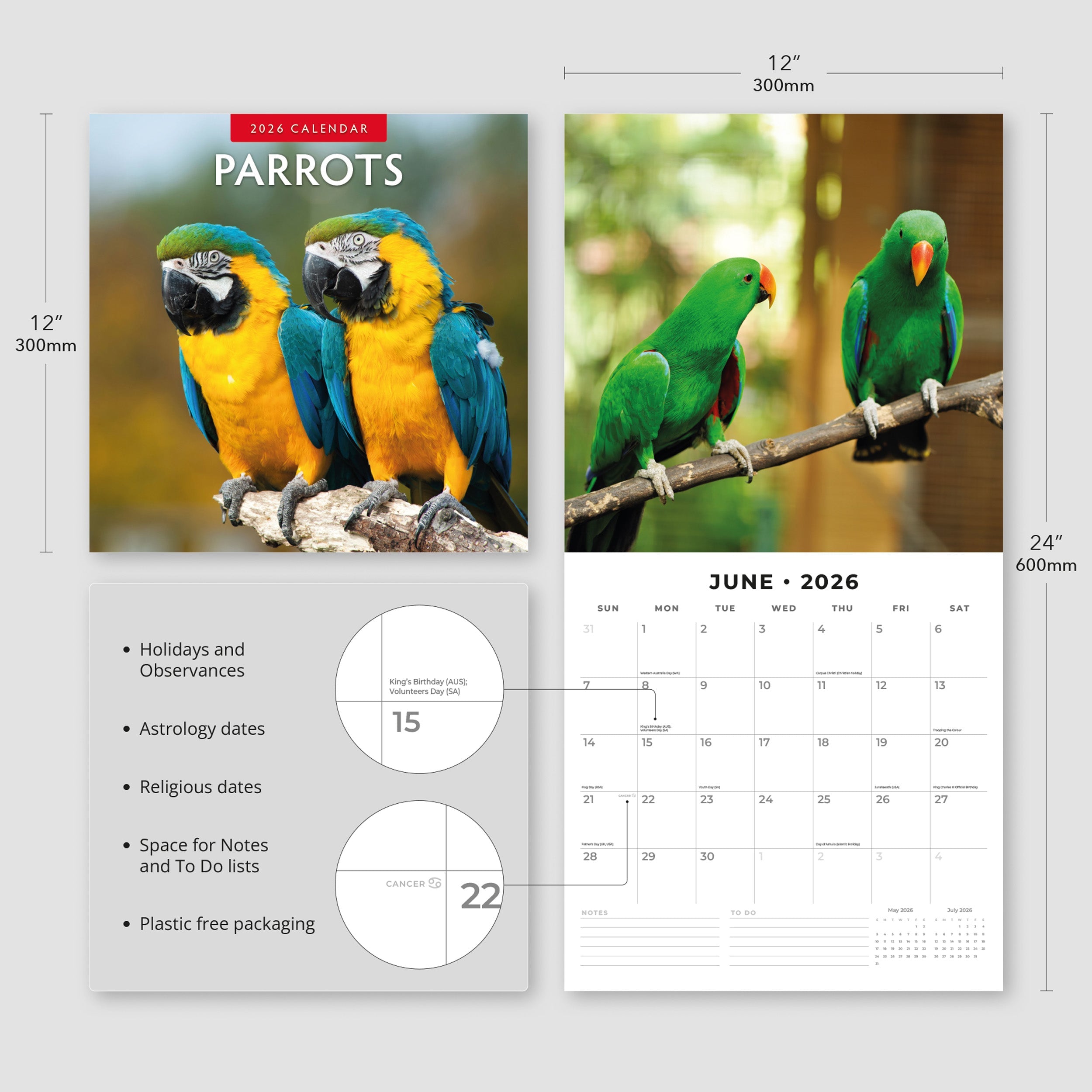 2026 Parrots - Square Wall Calendar