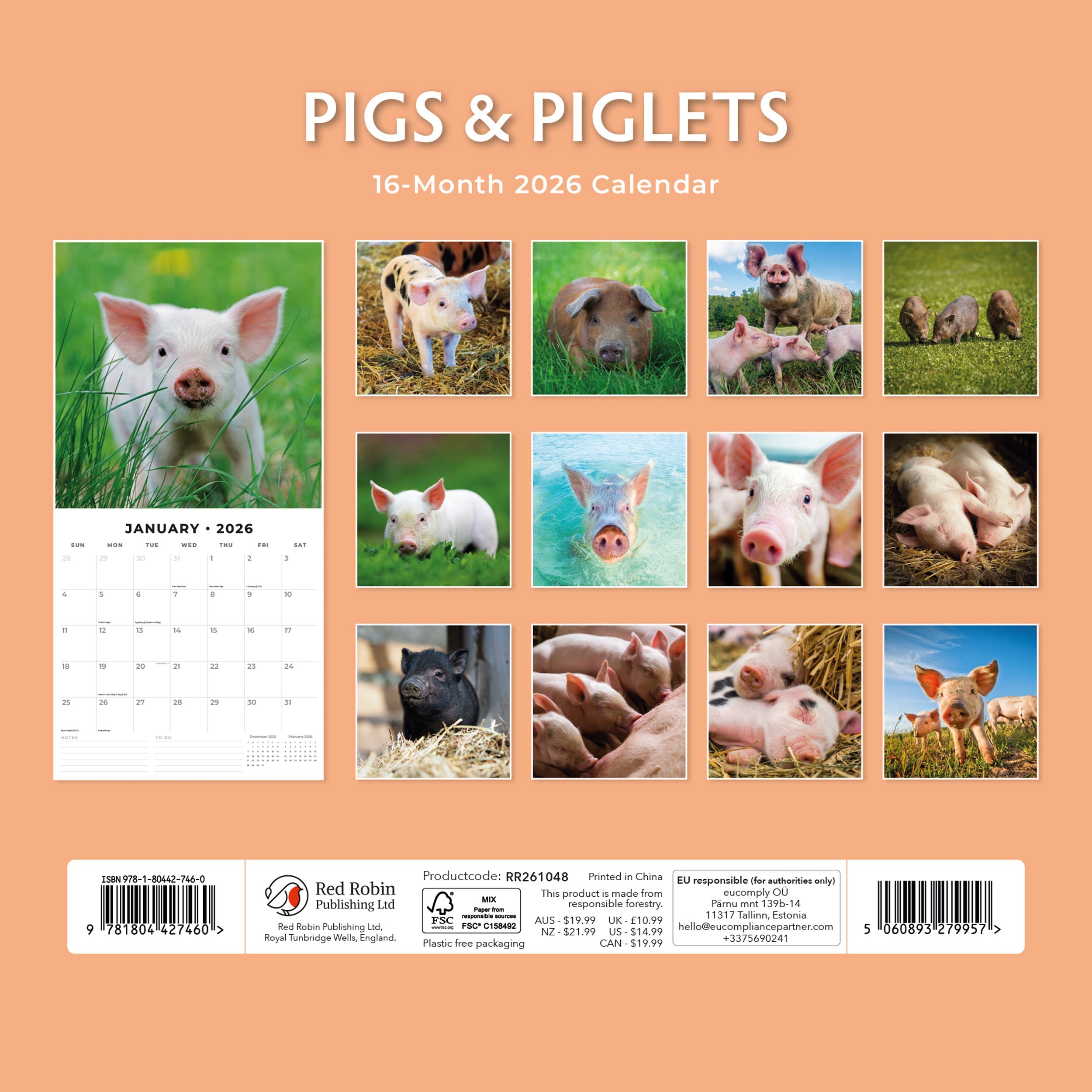 2026 Pigs & Piglets - Square Wall Calendar