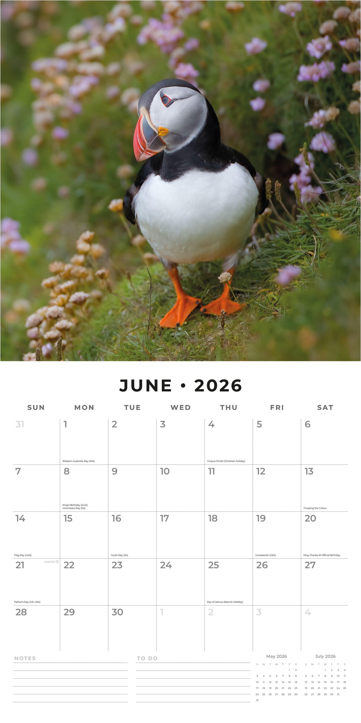 2026 Puffins - Square Wall Calendar
