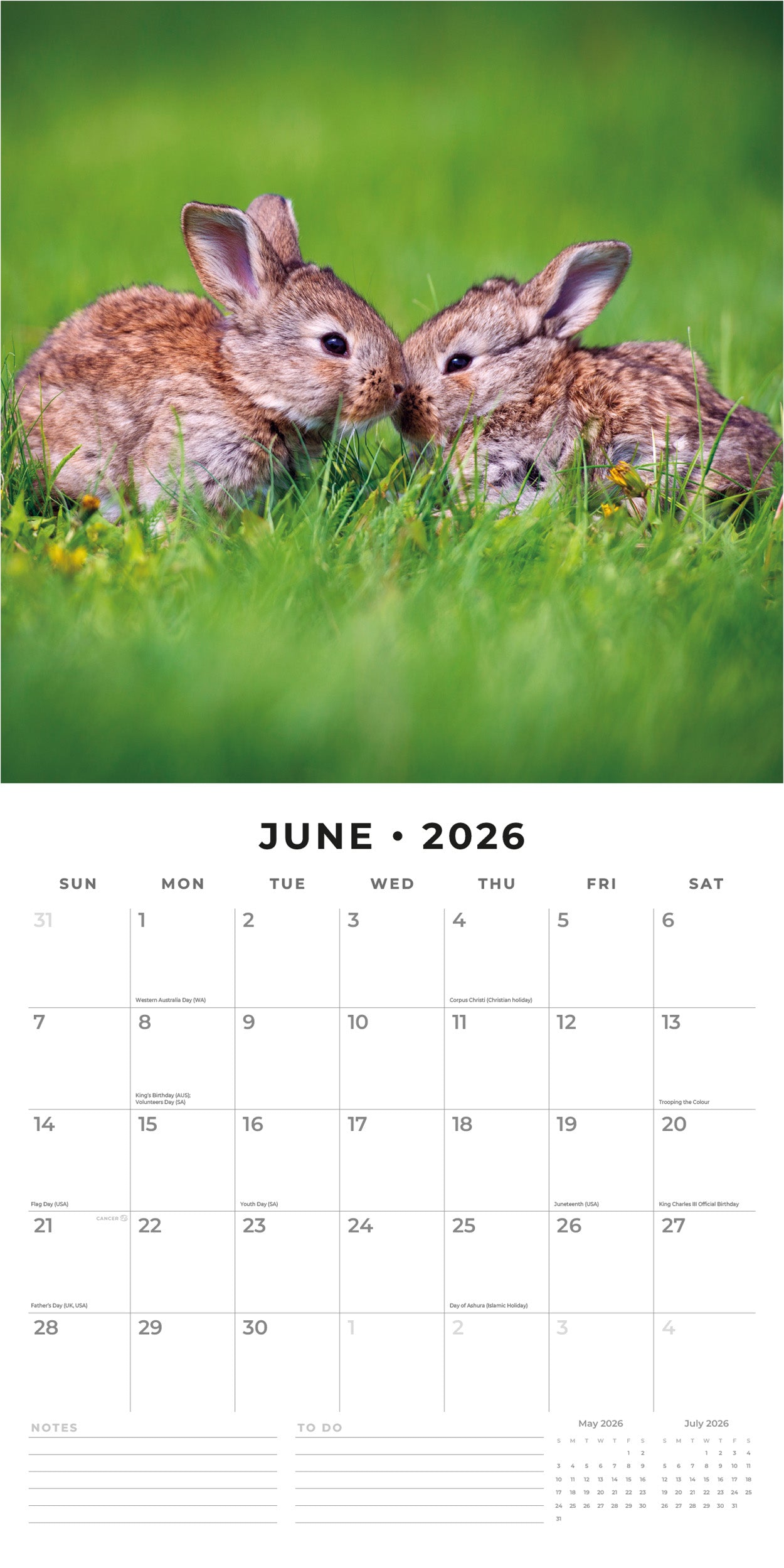 2026 Rabbits - Square Wall Calendar