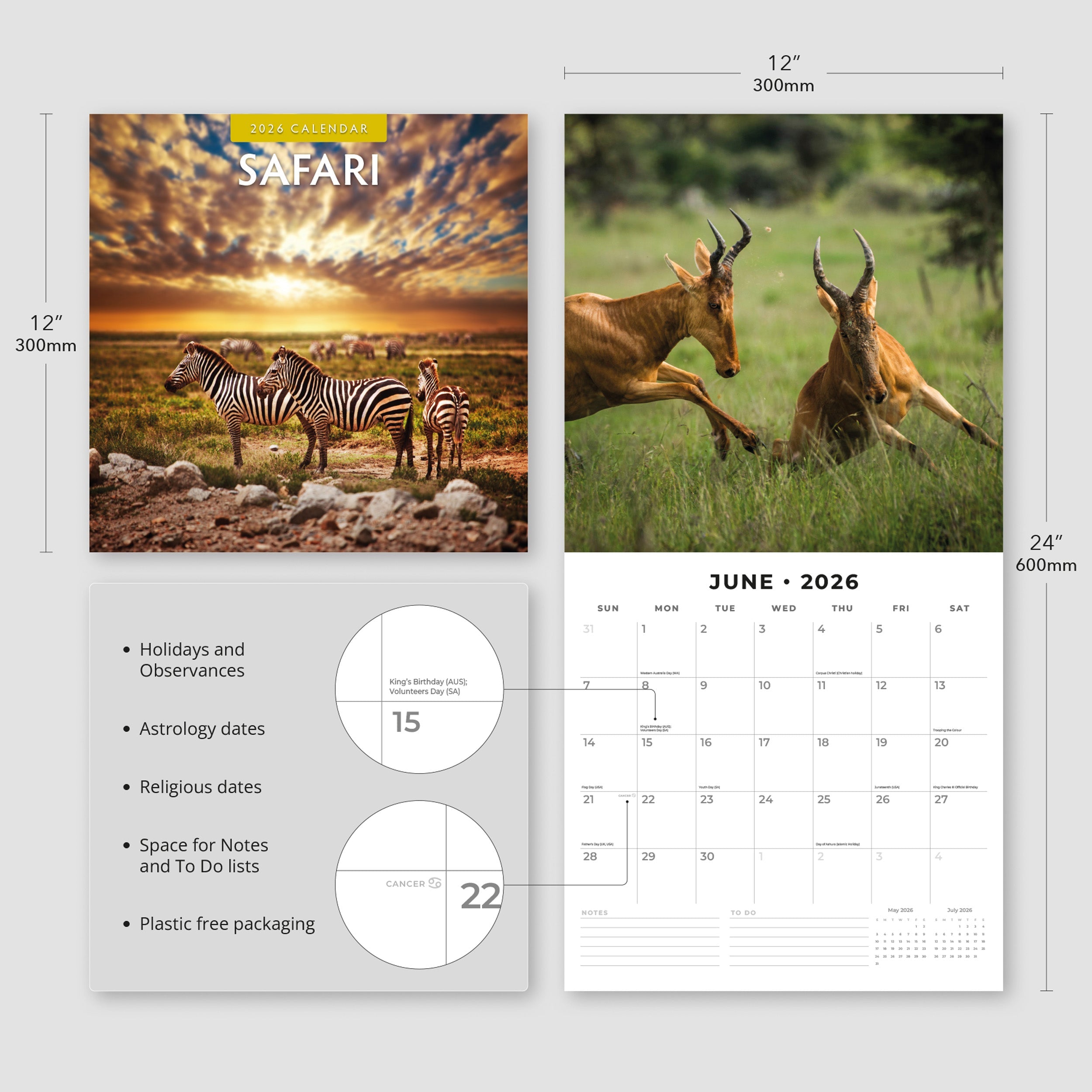 2026 Safari - Square Wall Calendar