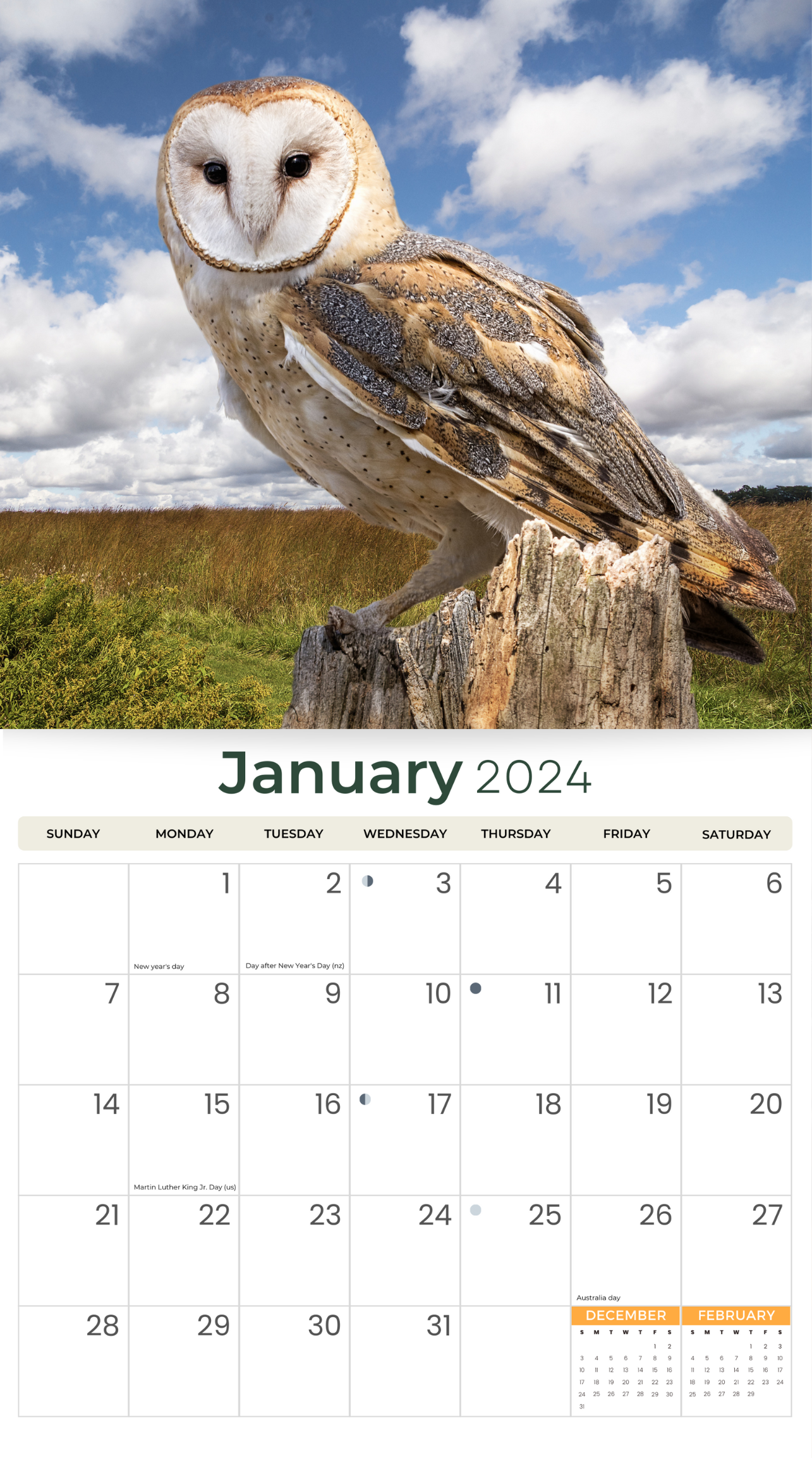 2024 Owls - Deluxe Wall Calendar by Just Calendars - 16 Month - Plastic Free
