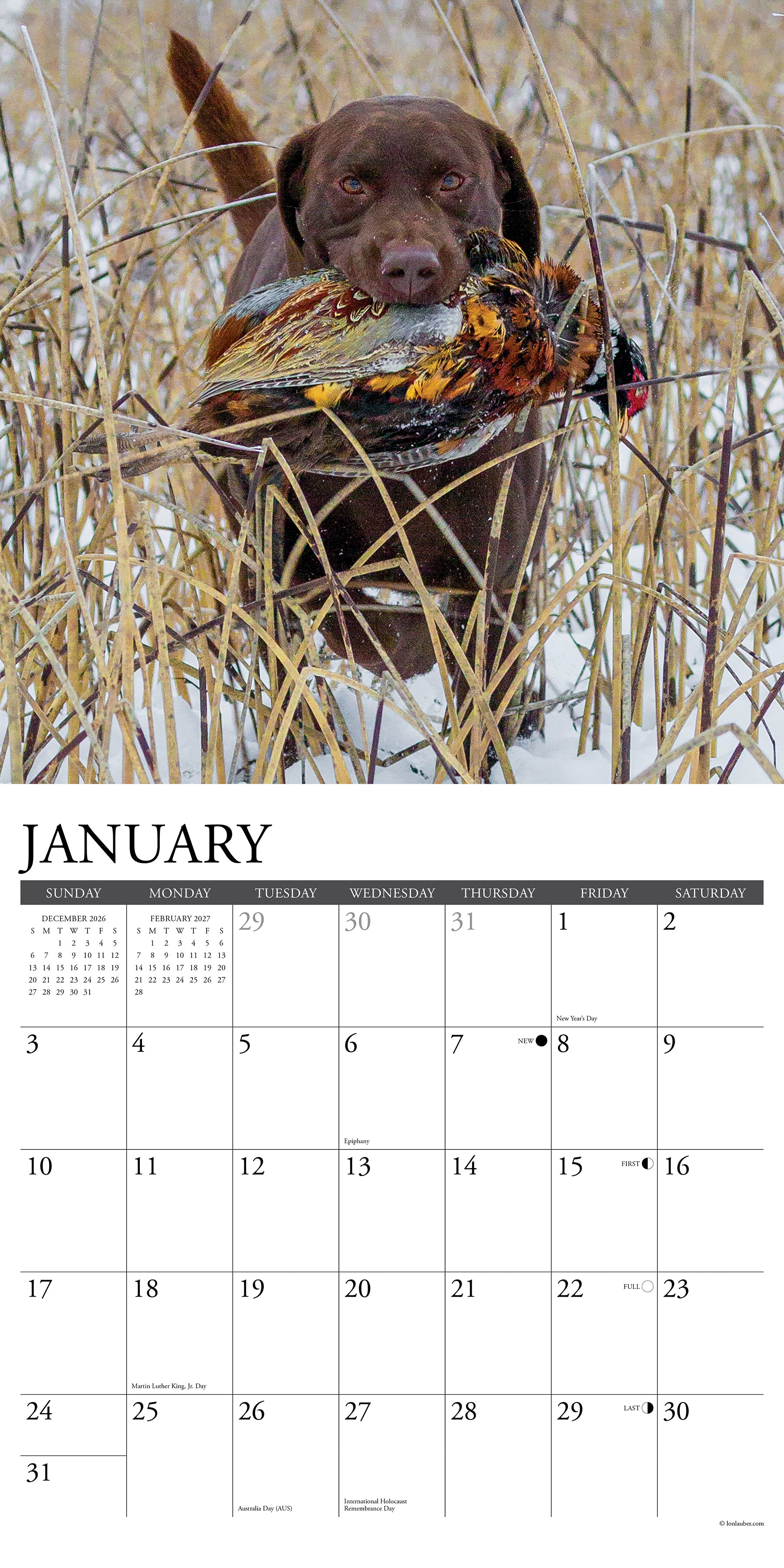 60742_2.jpg