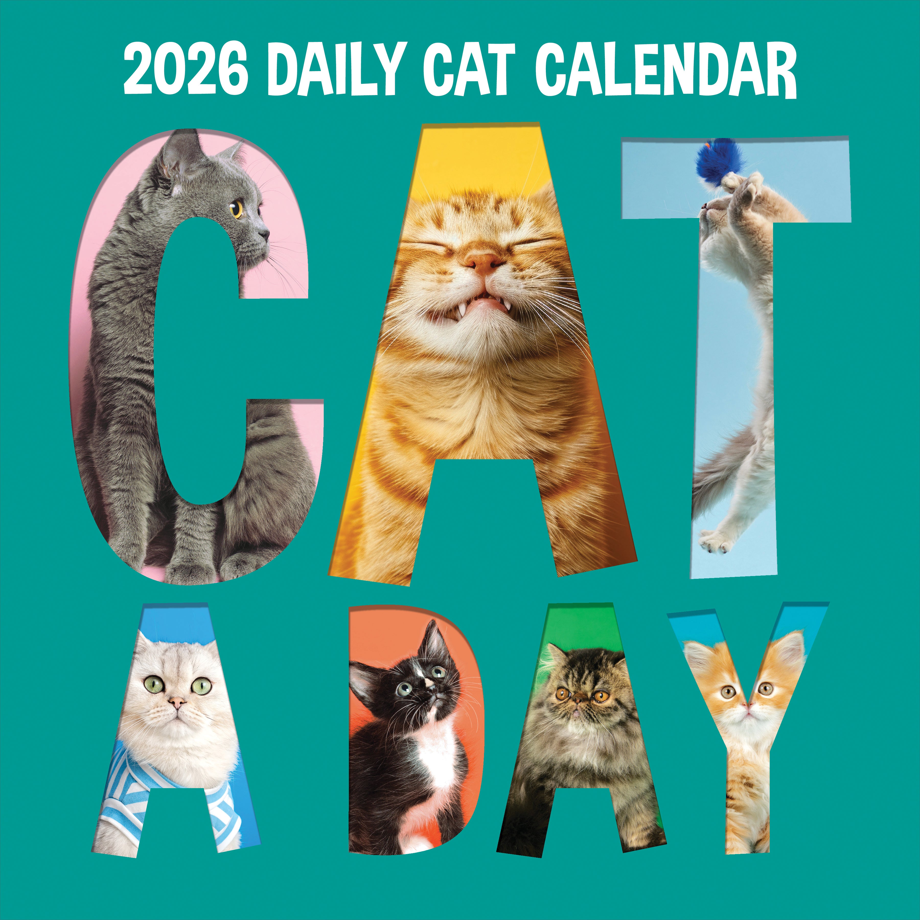 2026 Cat-A-Day - Square Wall Calendar