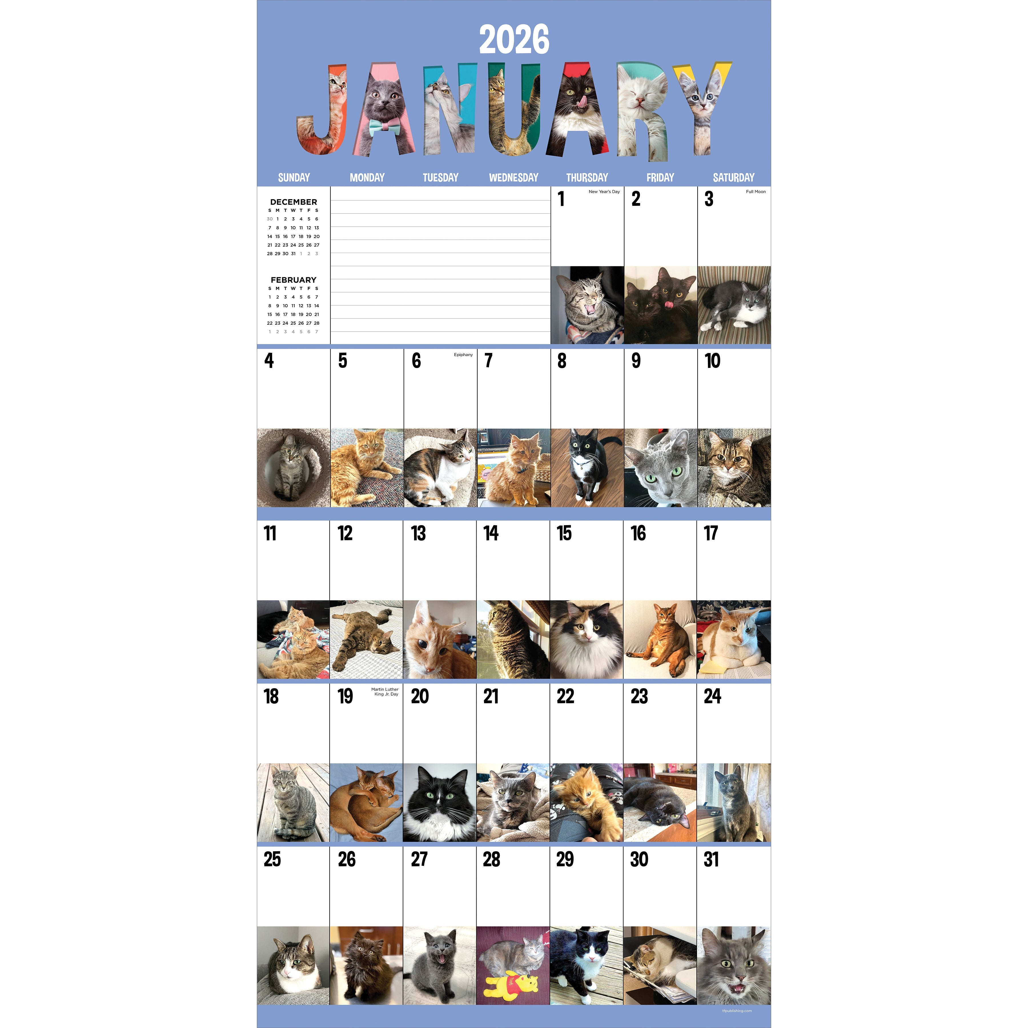 2026 Cat-A-Day - Square Wall Calendar