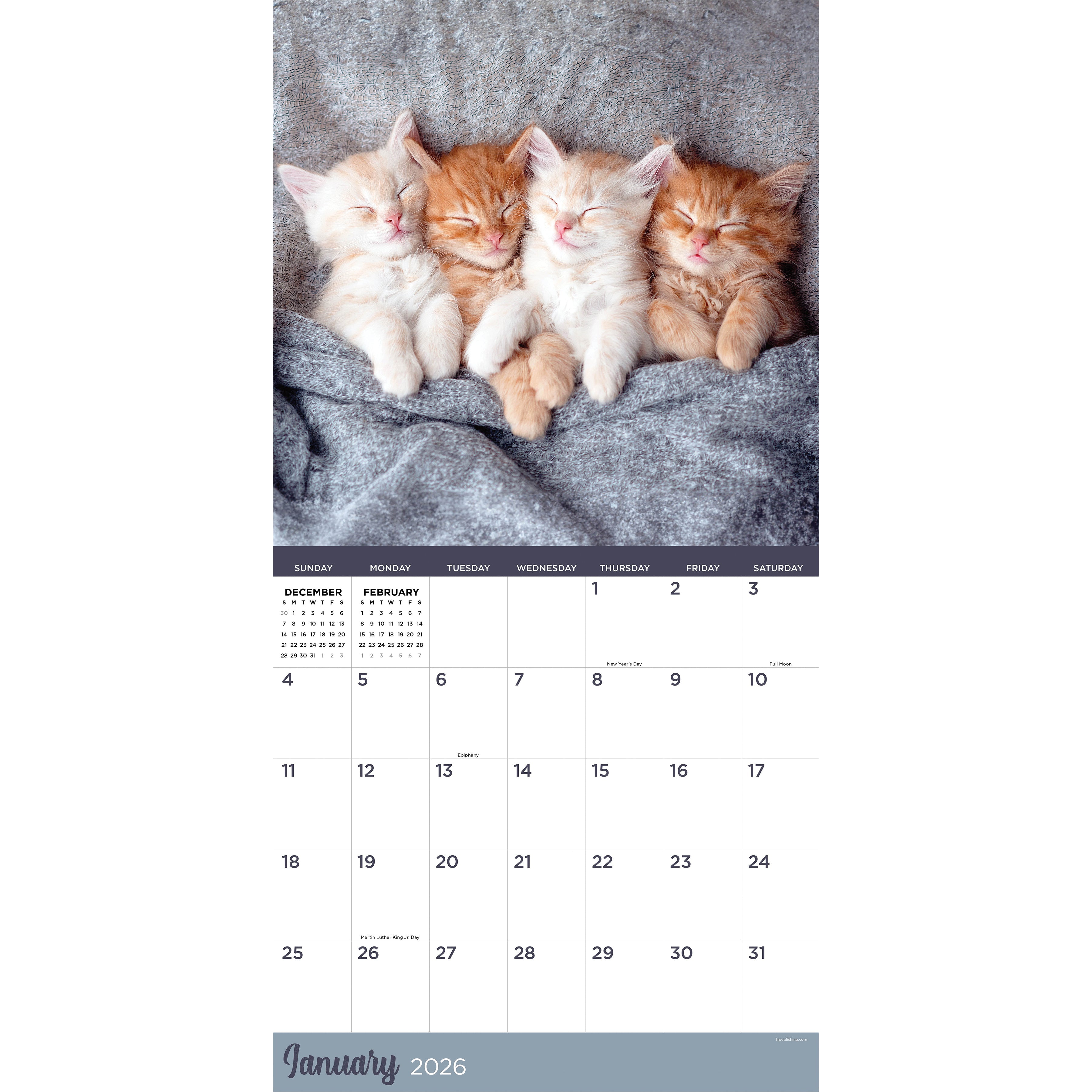 2026 Cat Dreams - Square Wall Calendar