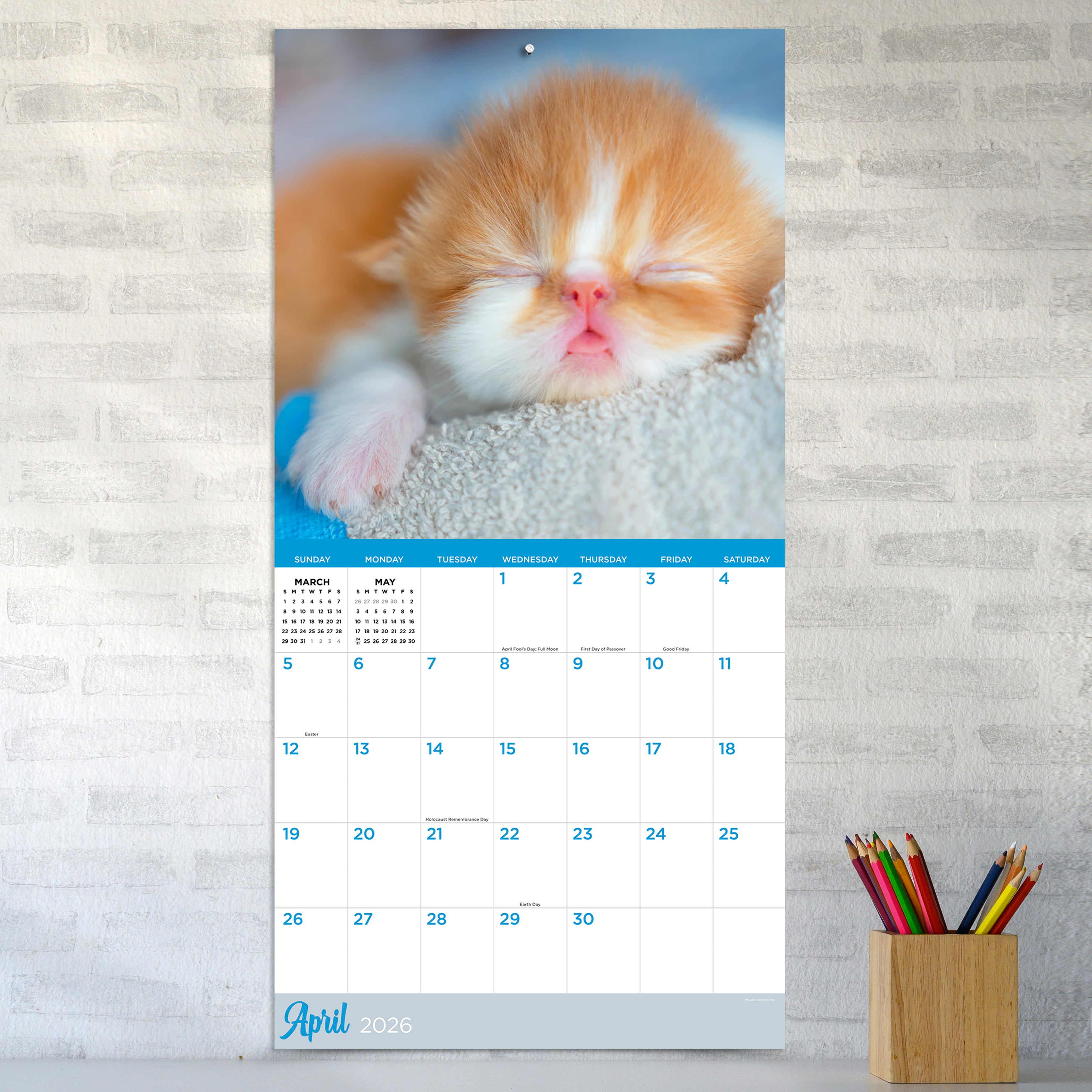 2026 Cat Dreams - Square Wall Calendar