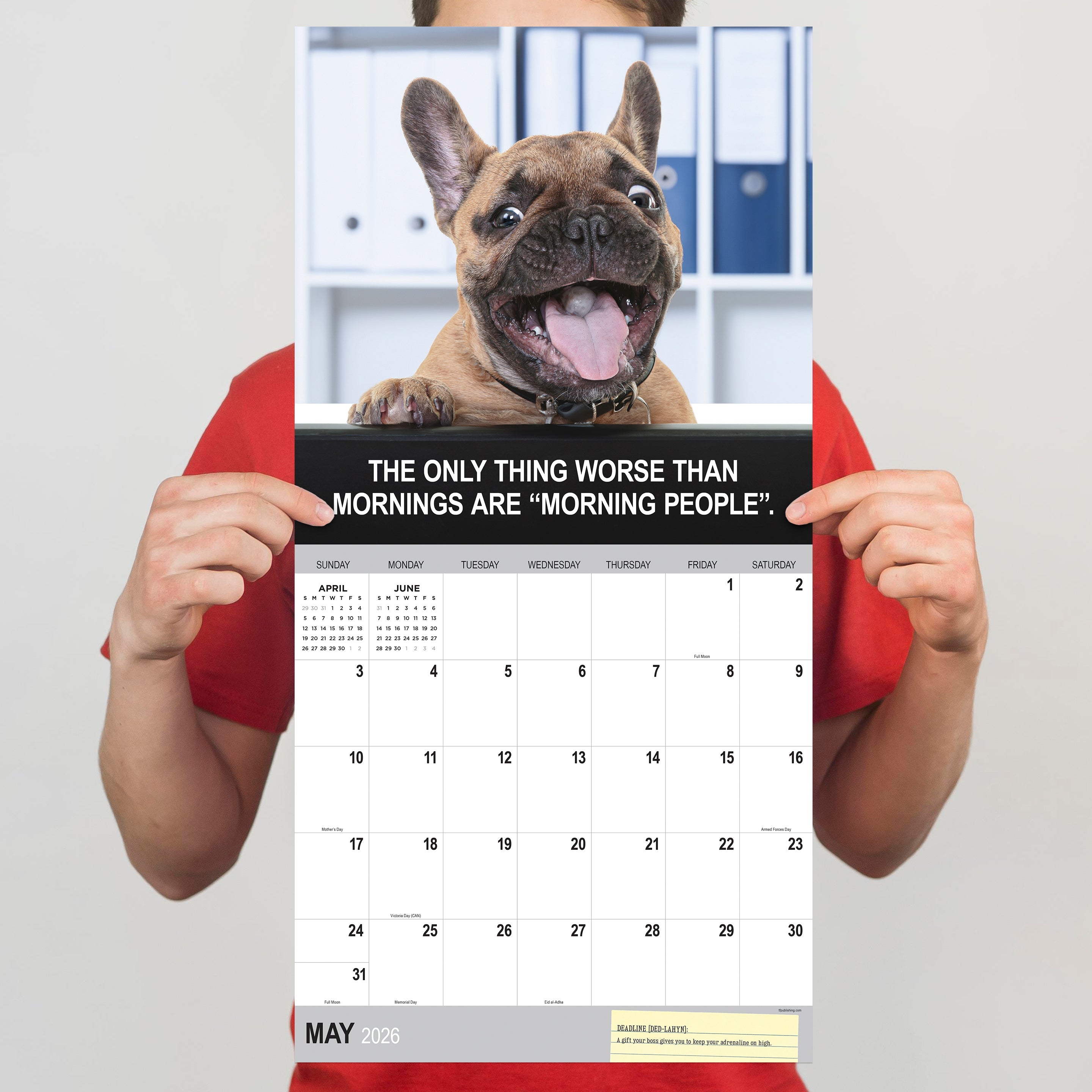 2026 Desk Dogs - Square Wall Calendar