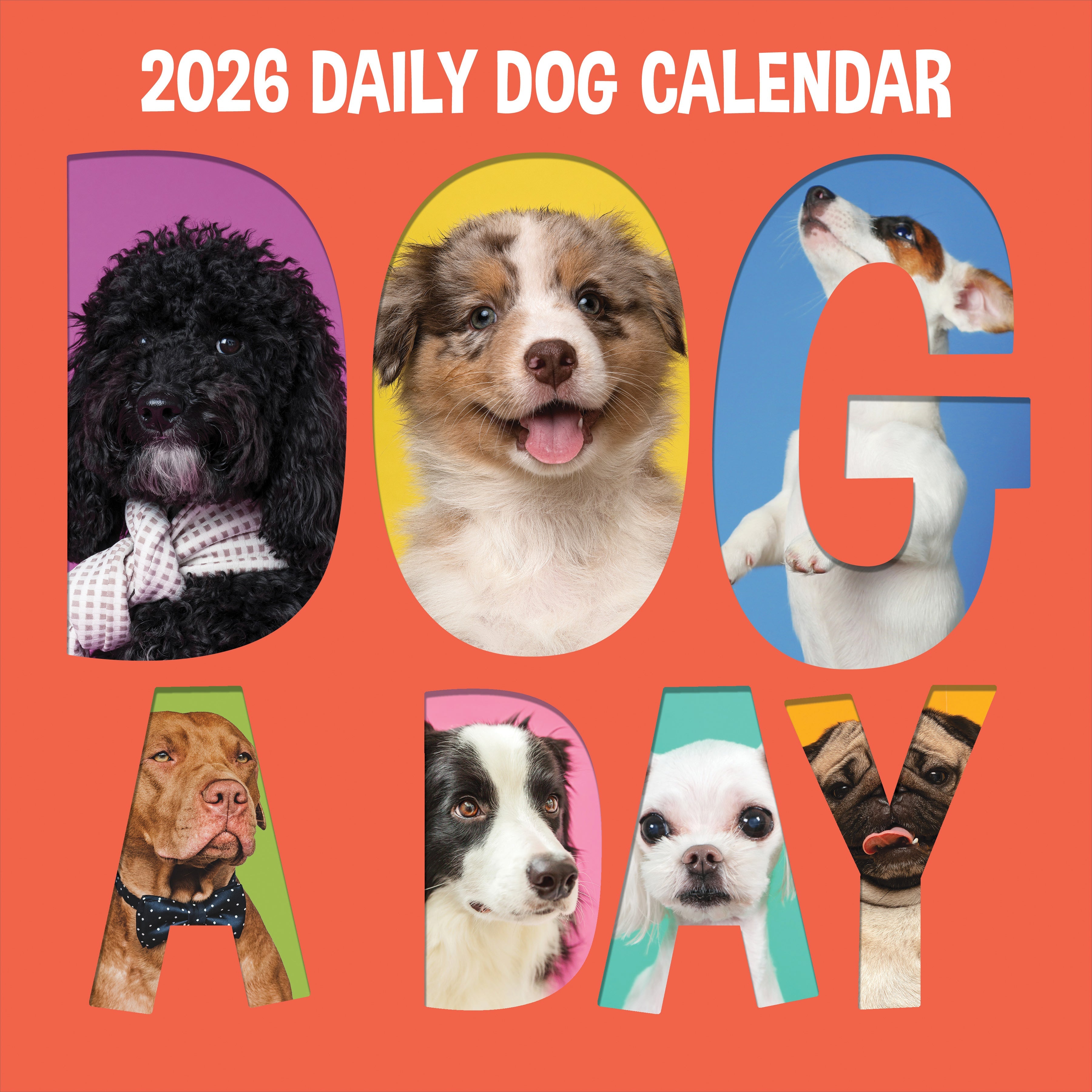 2026 Dog-A-Day - Square Wall Calendar