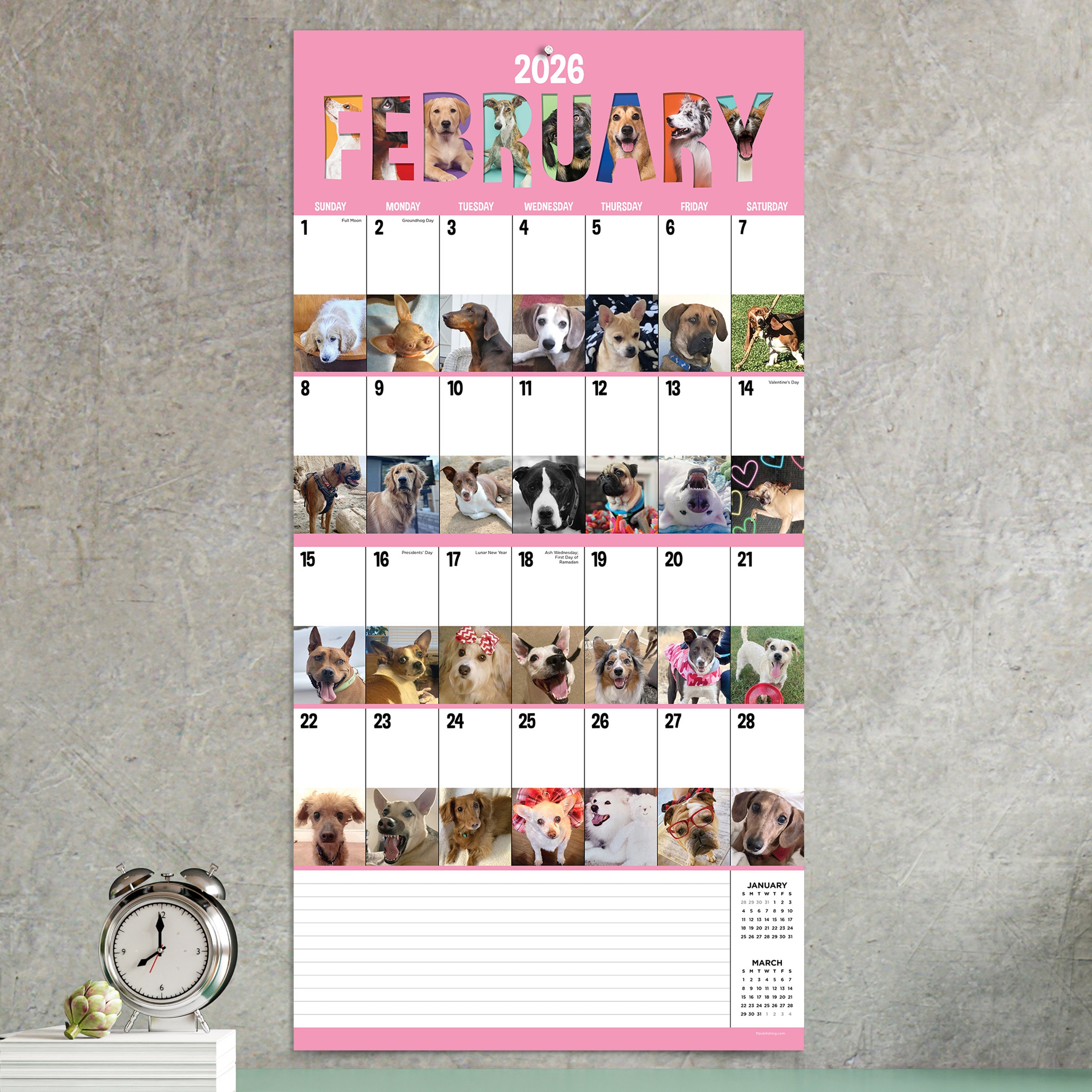 2026 Dog-A-Day - Square Wall Calendar