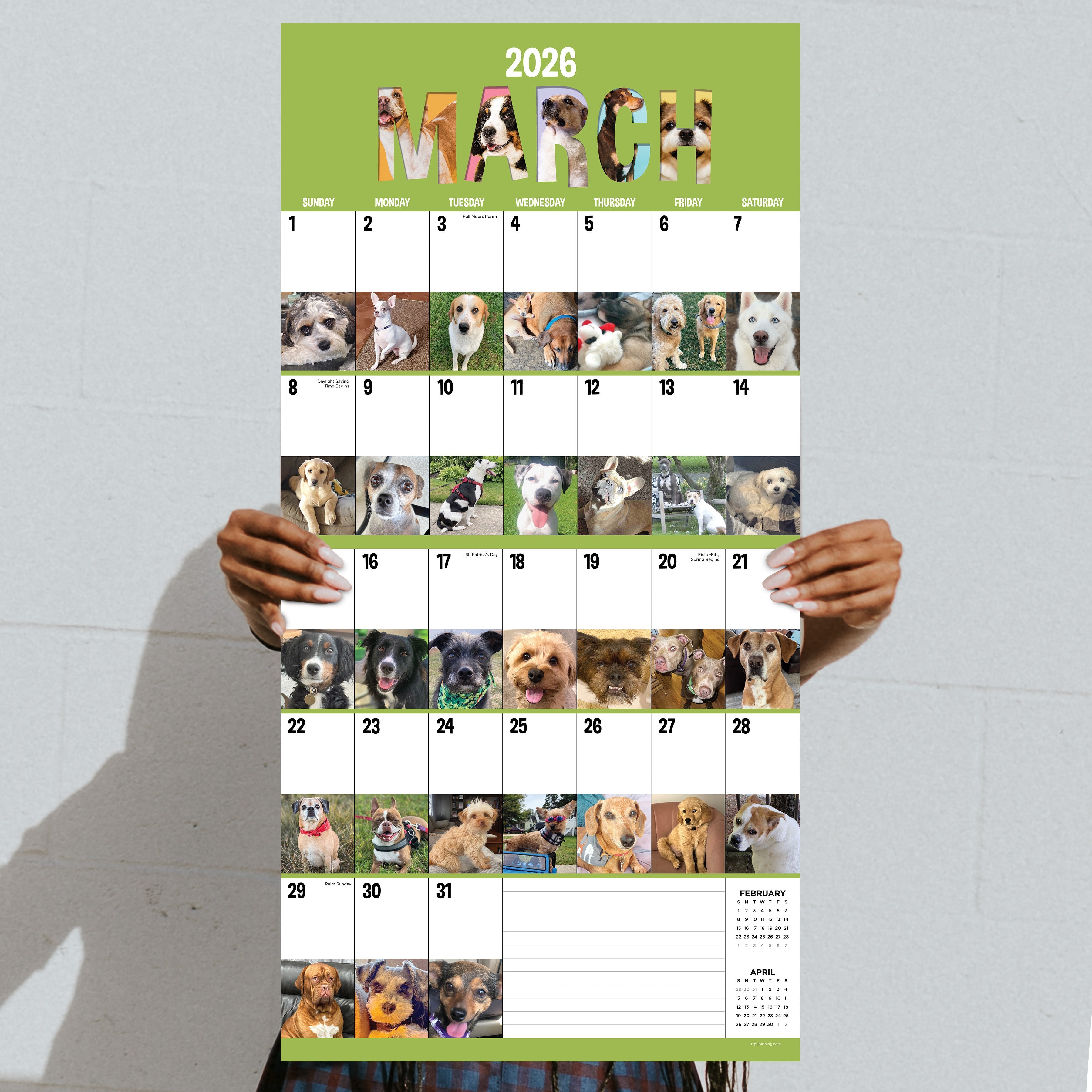 2026 Dog-A-Day - Square Wall Calendar