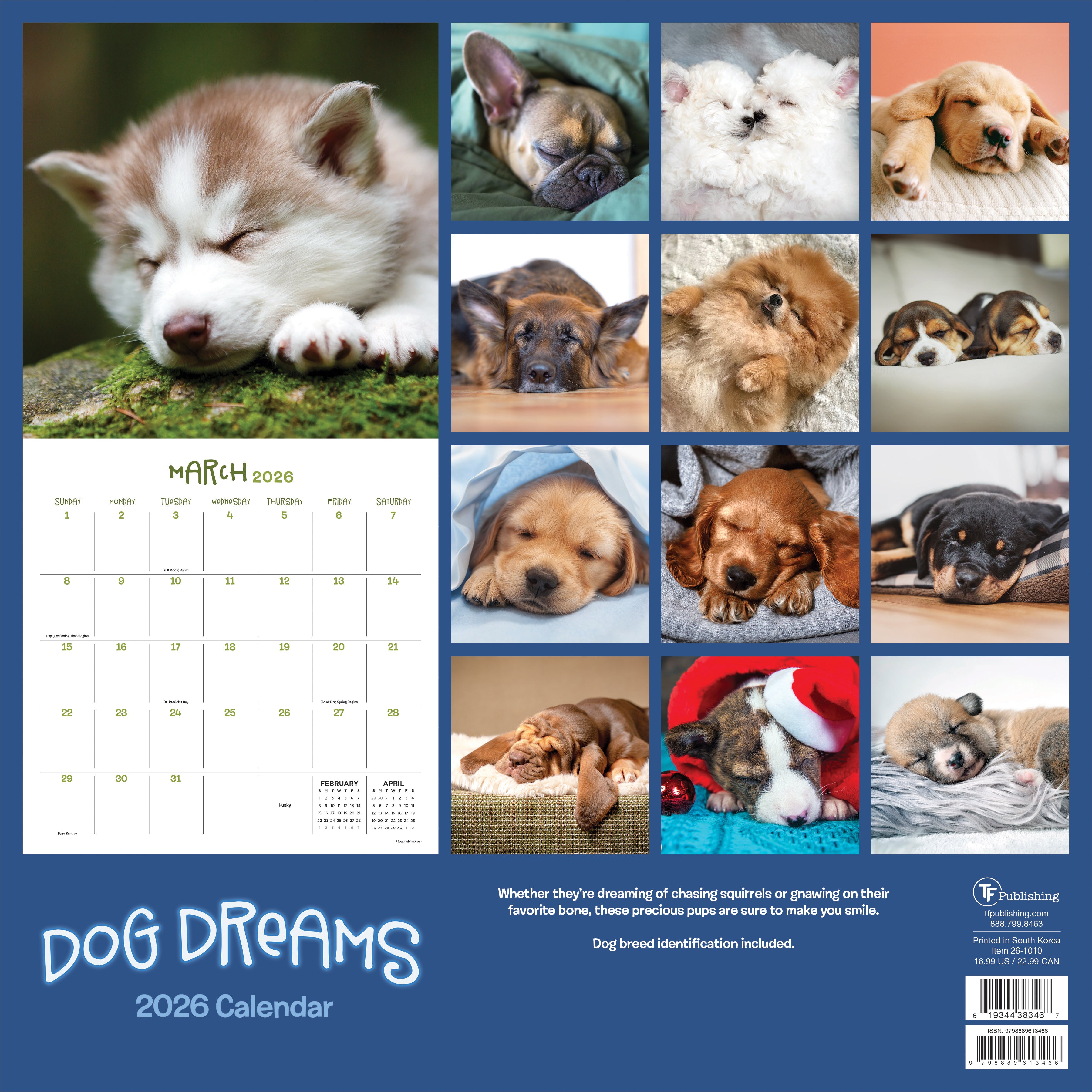 2026 Dog Dreams - Square Wall Calendar