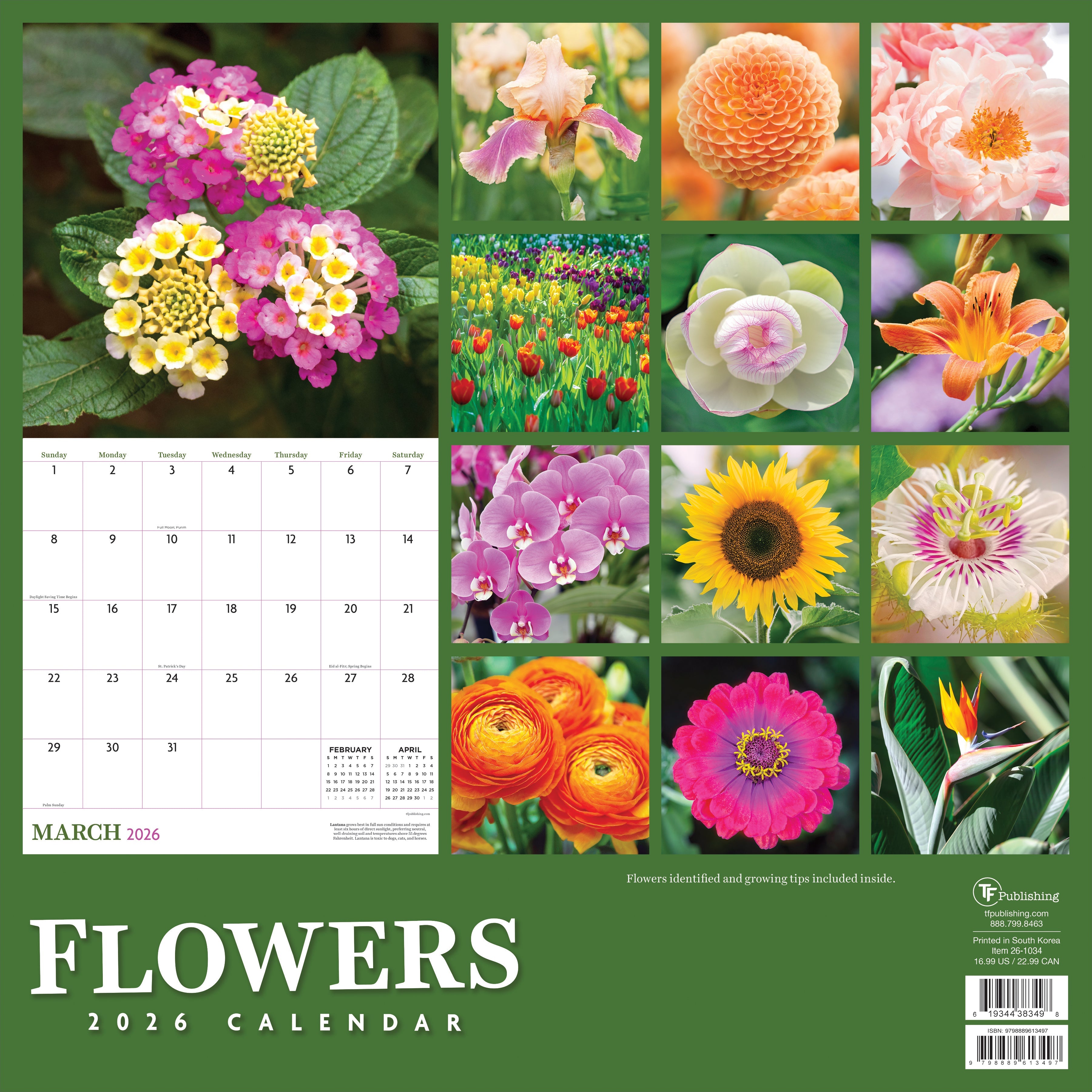 2026 Flowers - Square Wall Calendar
