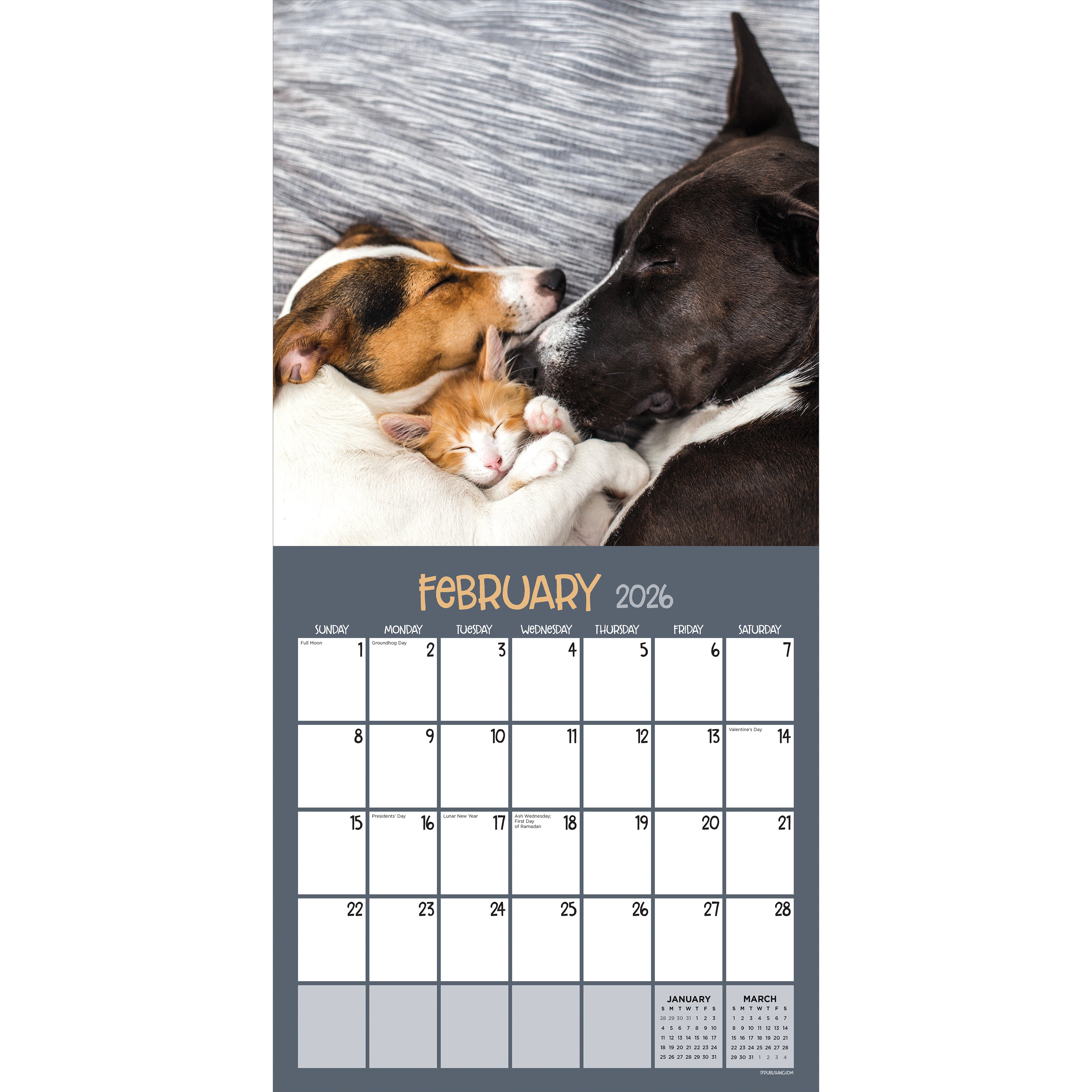 2026 Furry Friends - Square Wall Calendar