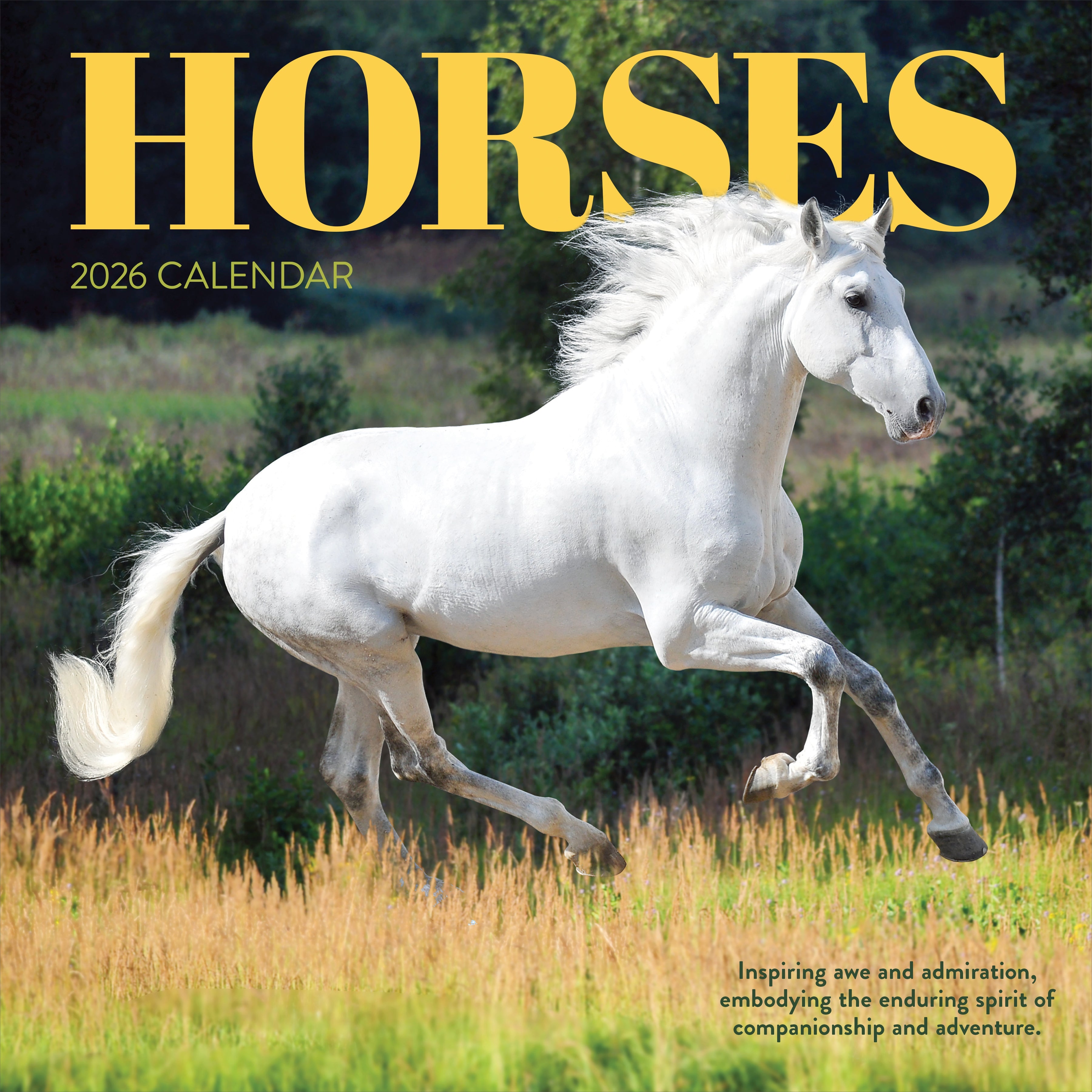2026 Horses - Square Wall Calendar