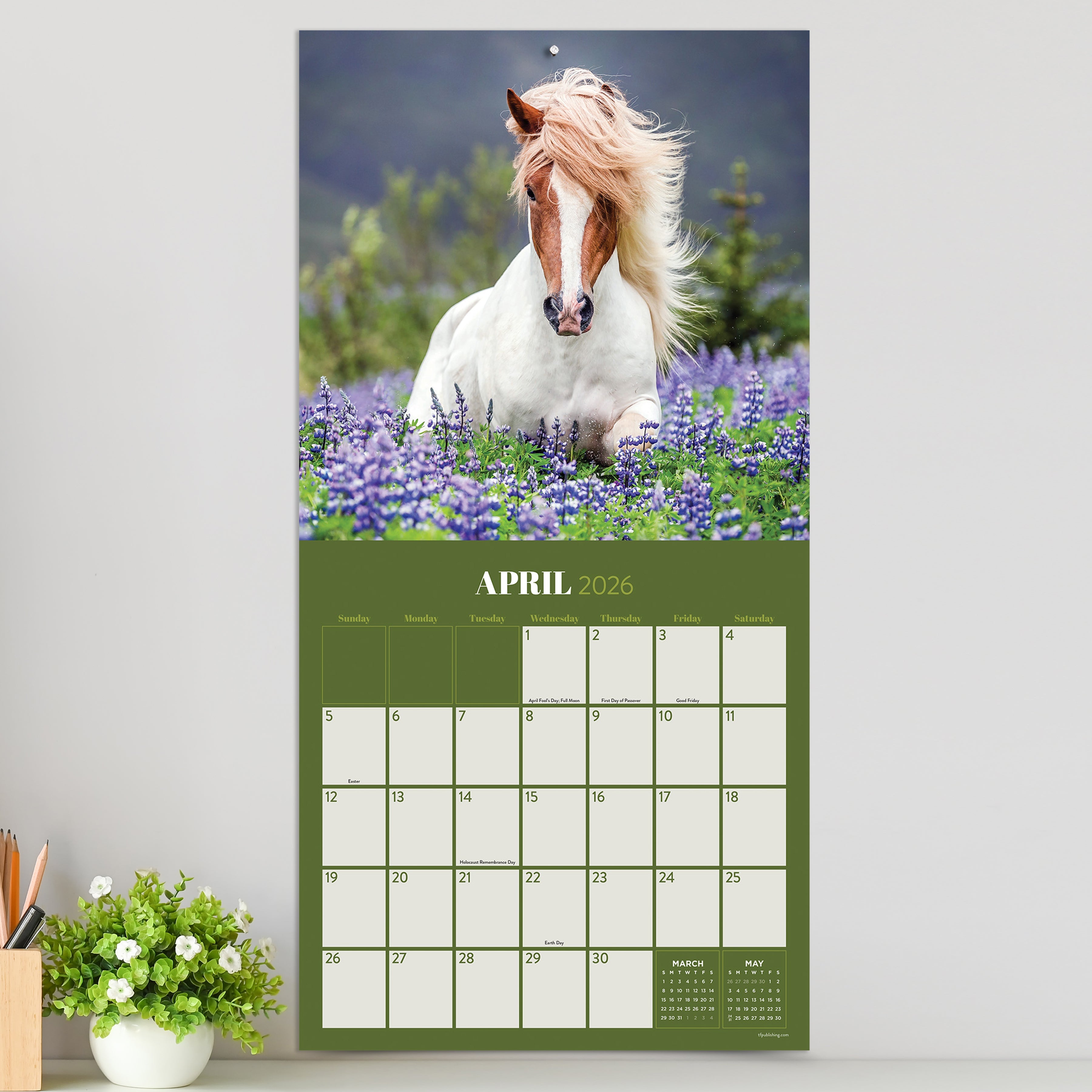 2026 Horses - Square Wall Calendar
