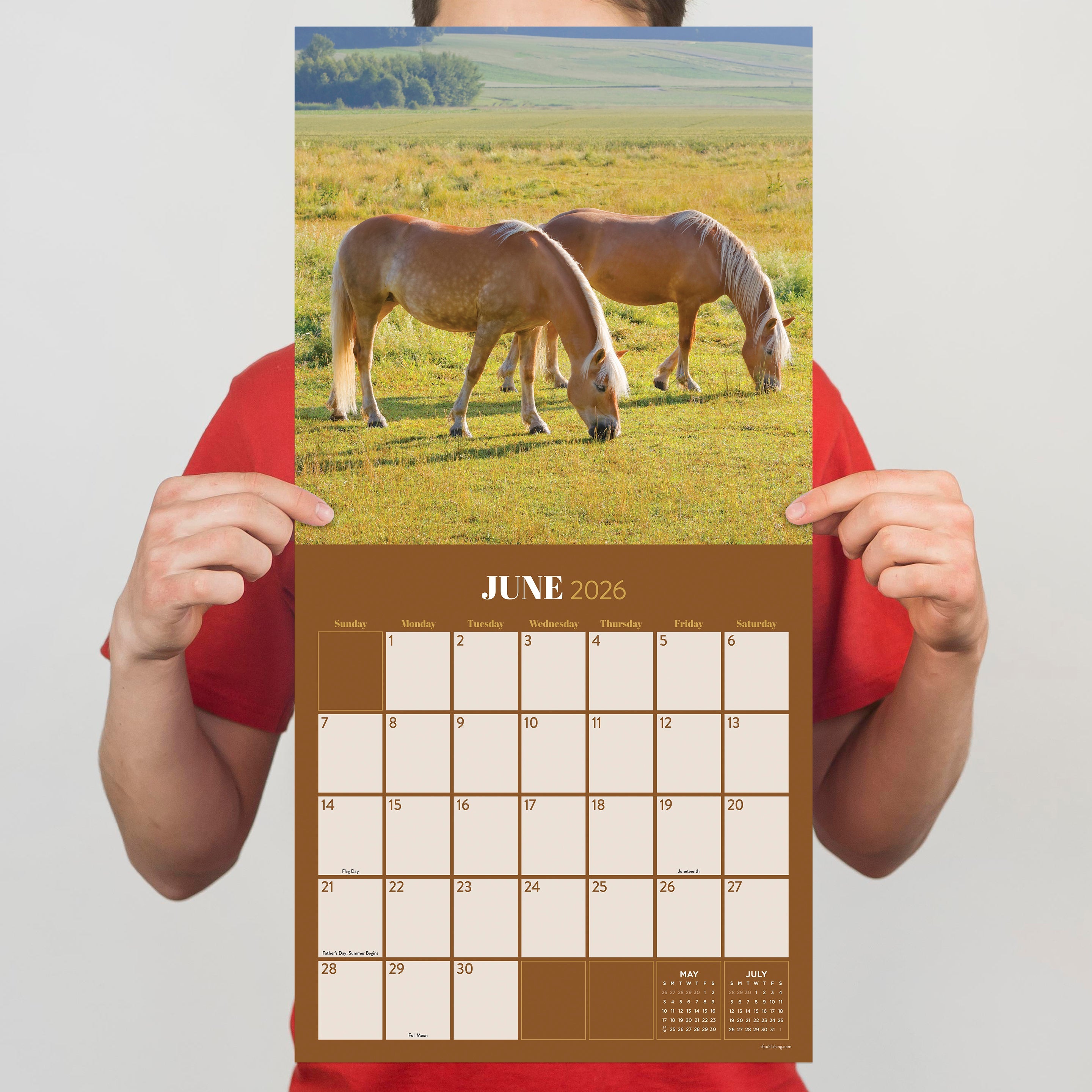 2026 Horses - Square Wall Calendar