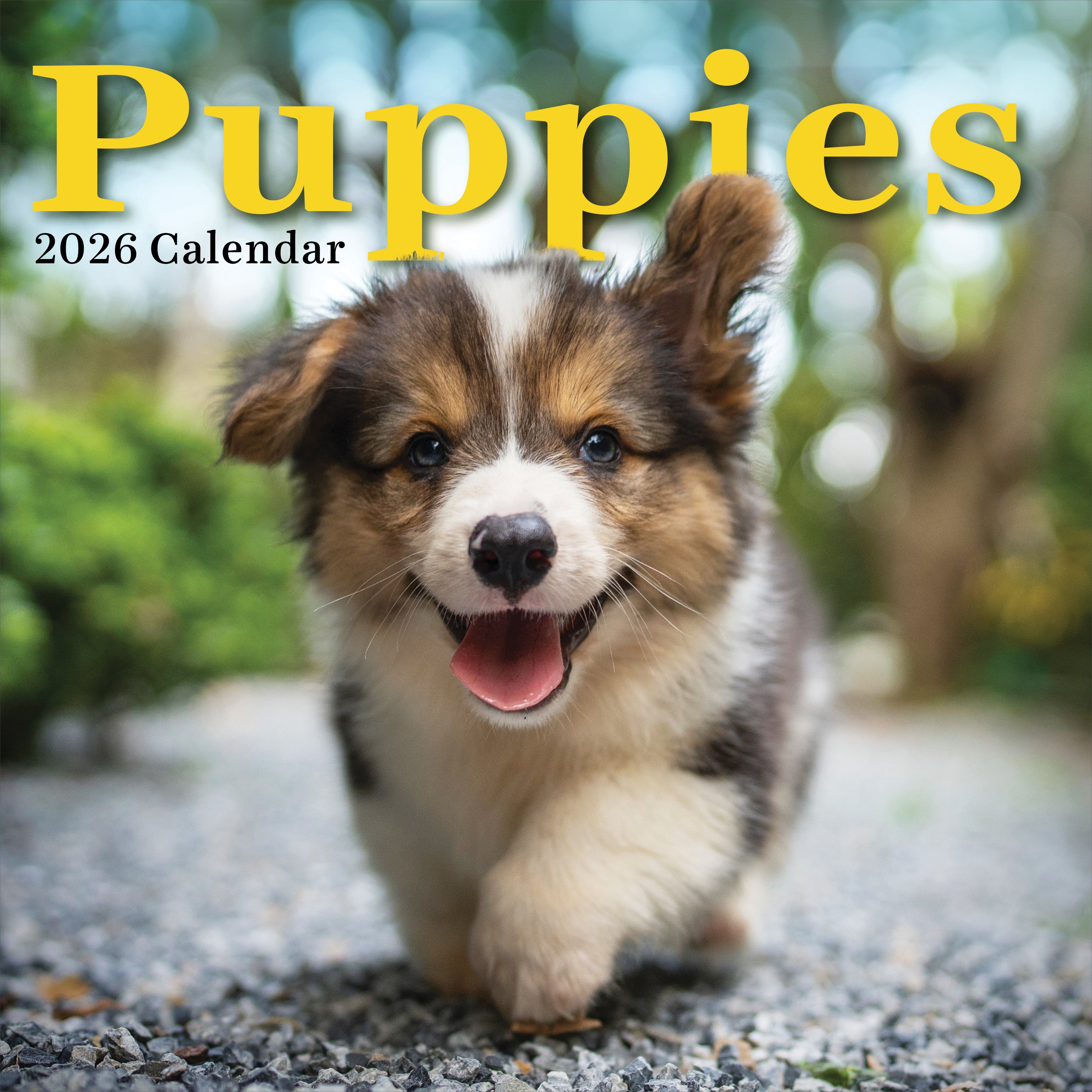 2026 Puppies - Square Wall Calendar